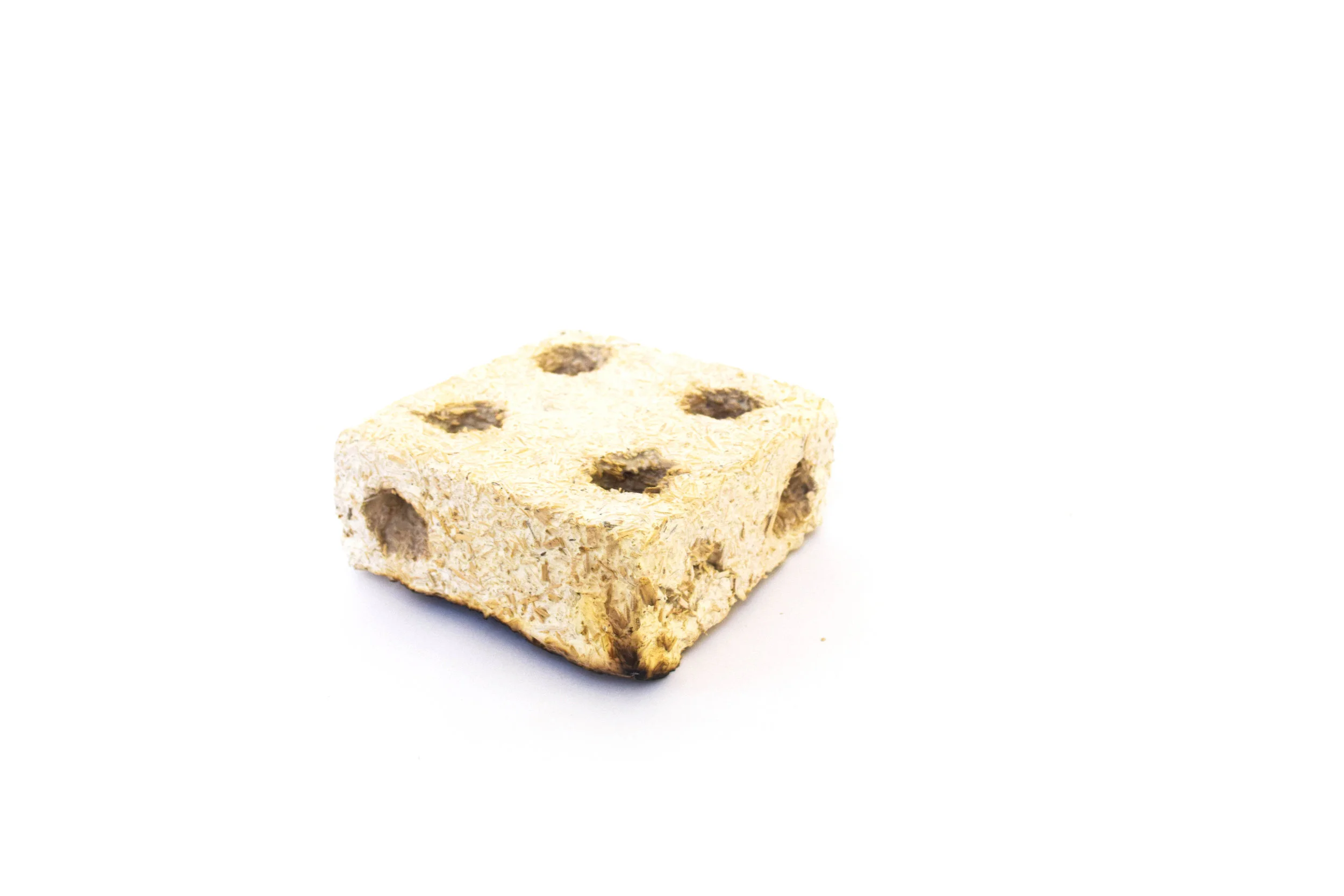shroom12.jpg