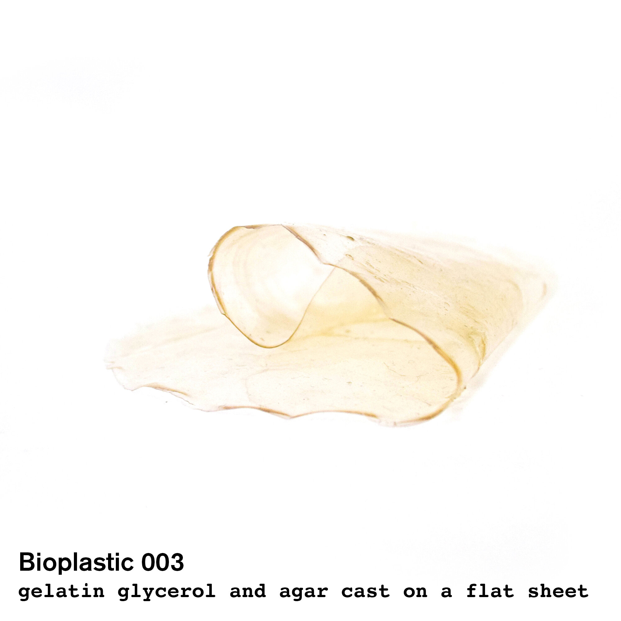 bioplastic003.jpg