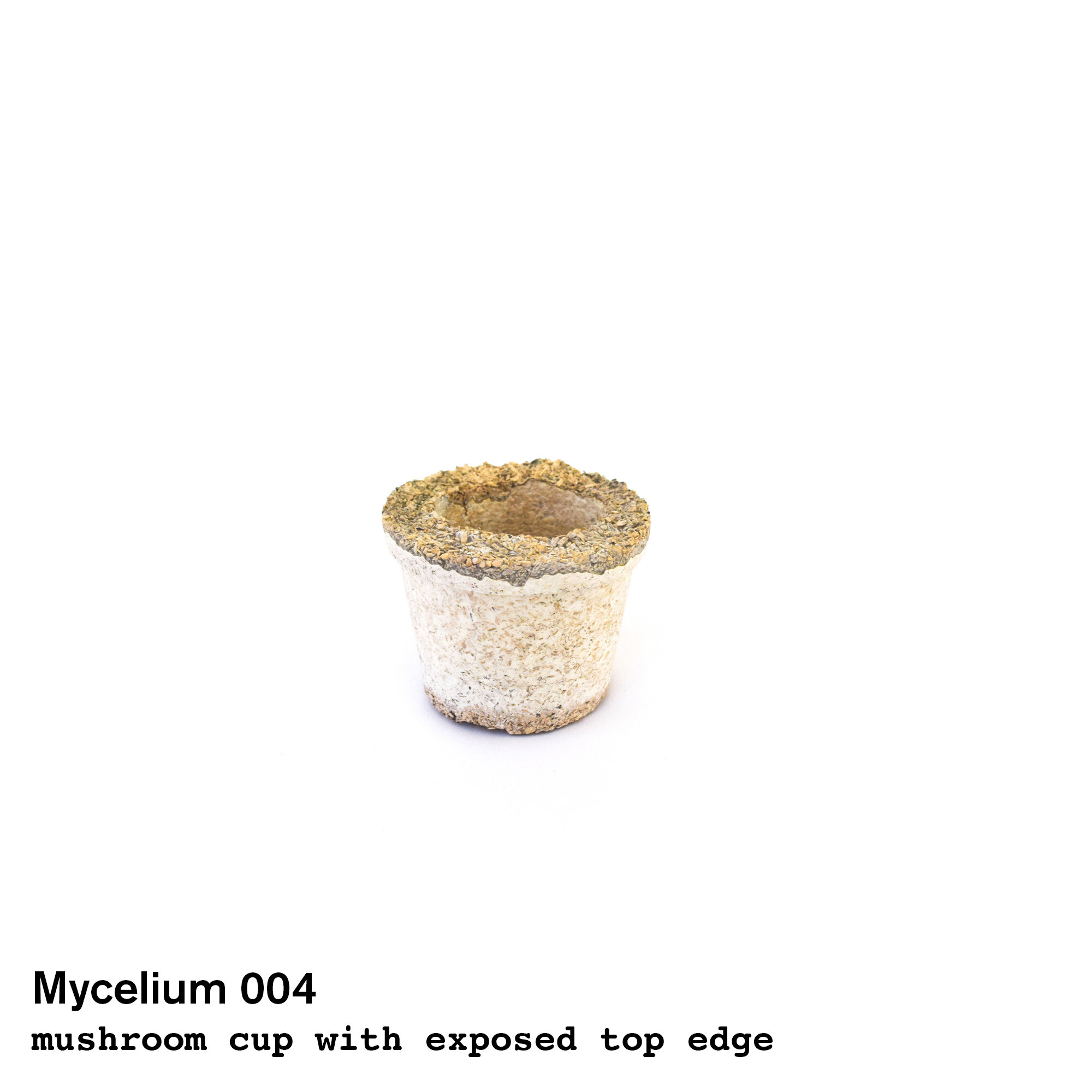 Mushroom004.jpg