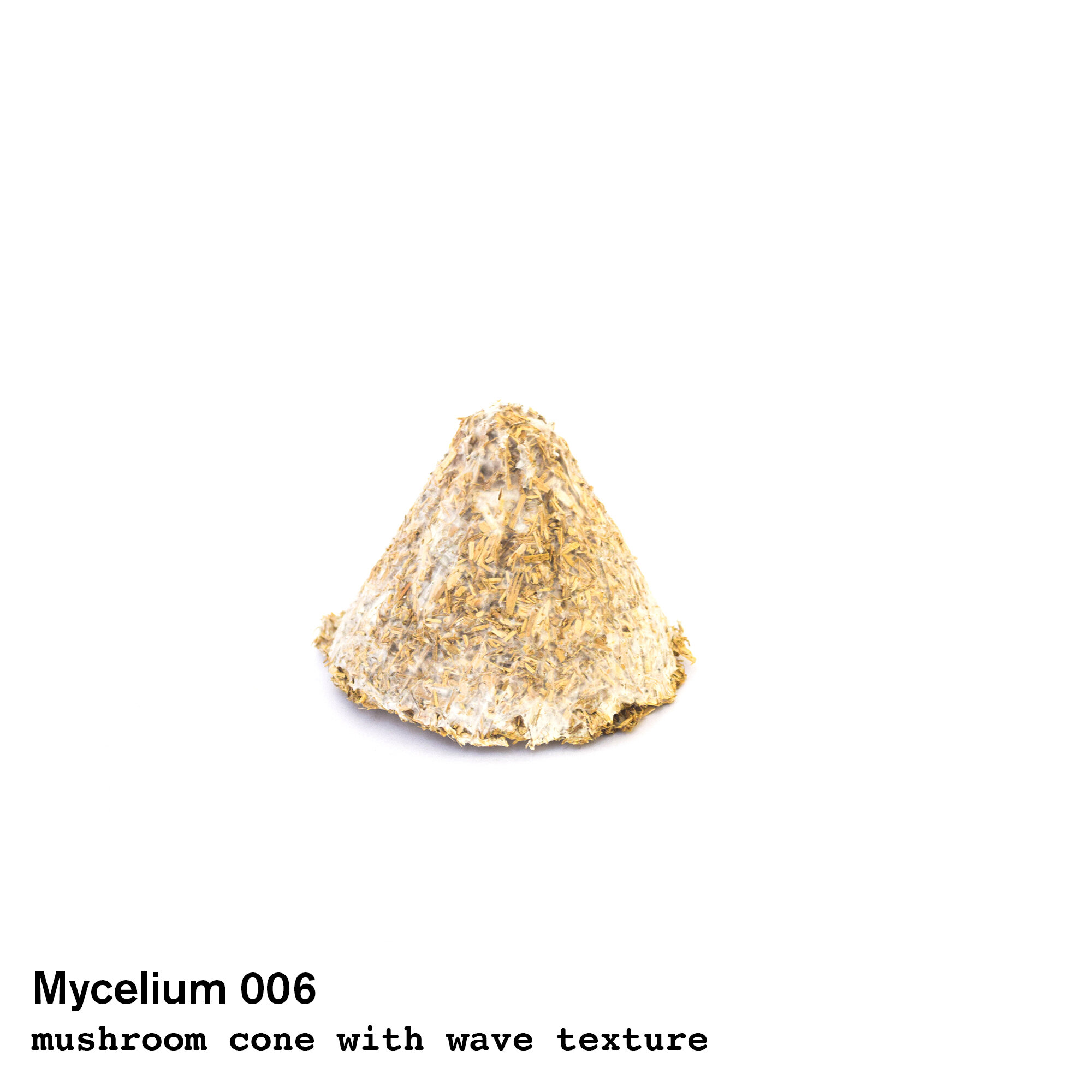 mushroom006.jpg