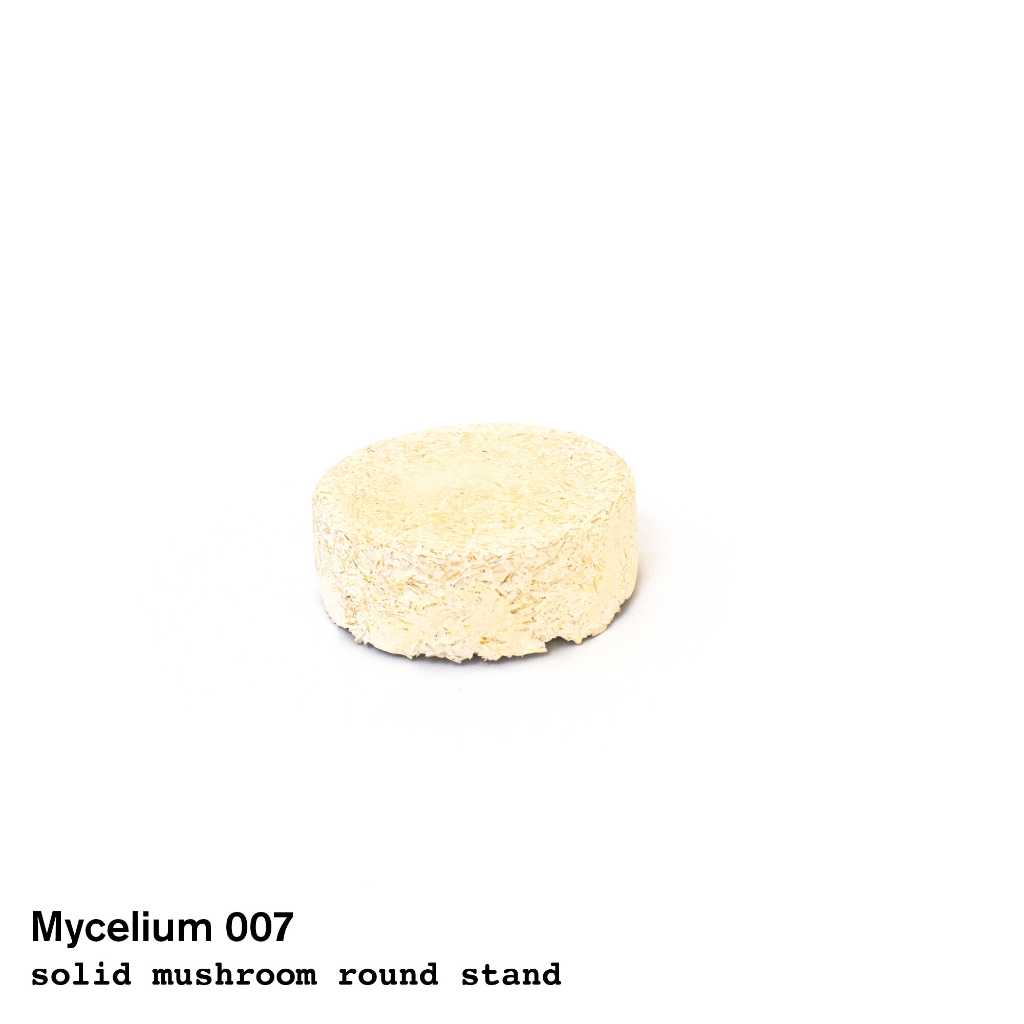 mushroom007.jpg