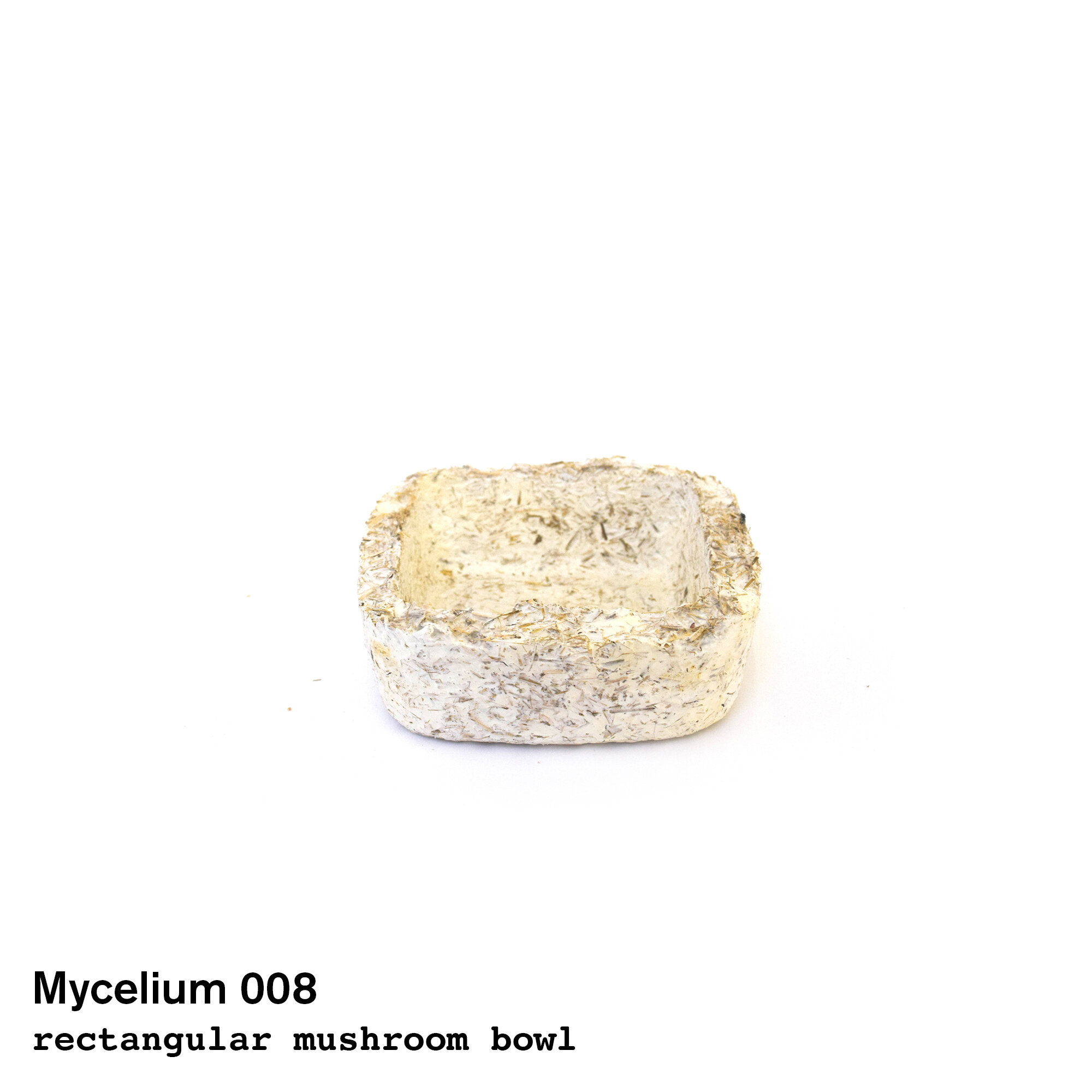 mushroom008.jpg