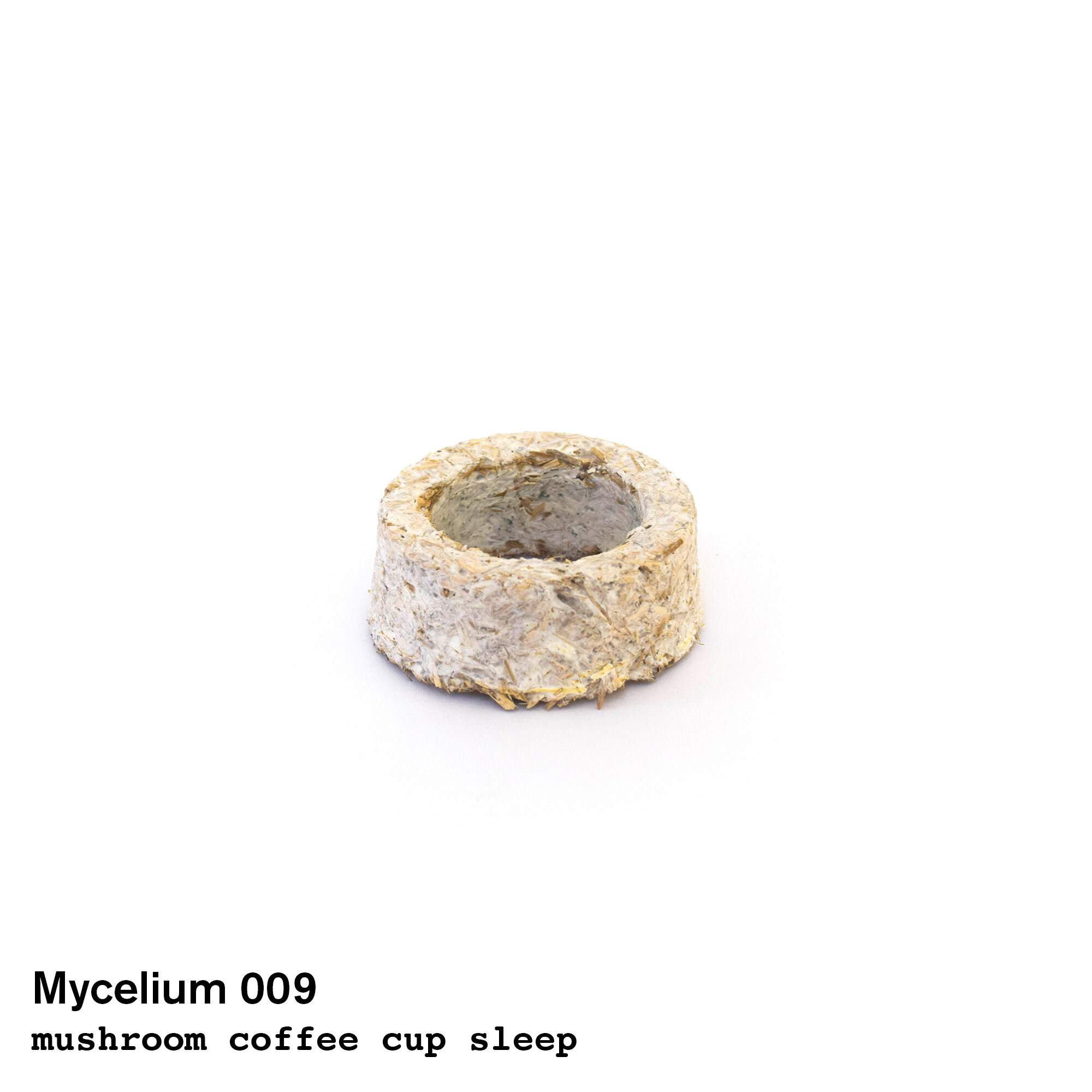 mushroom009.jpg