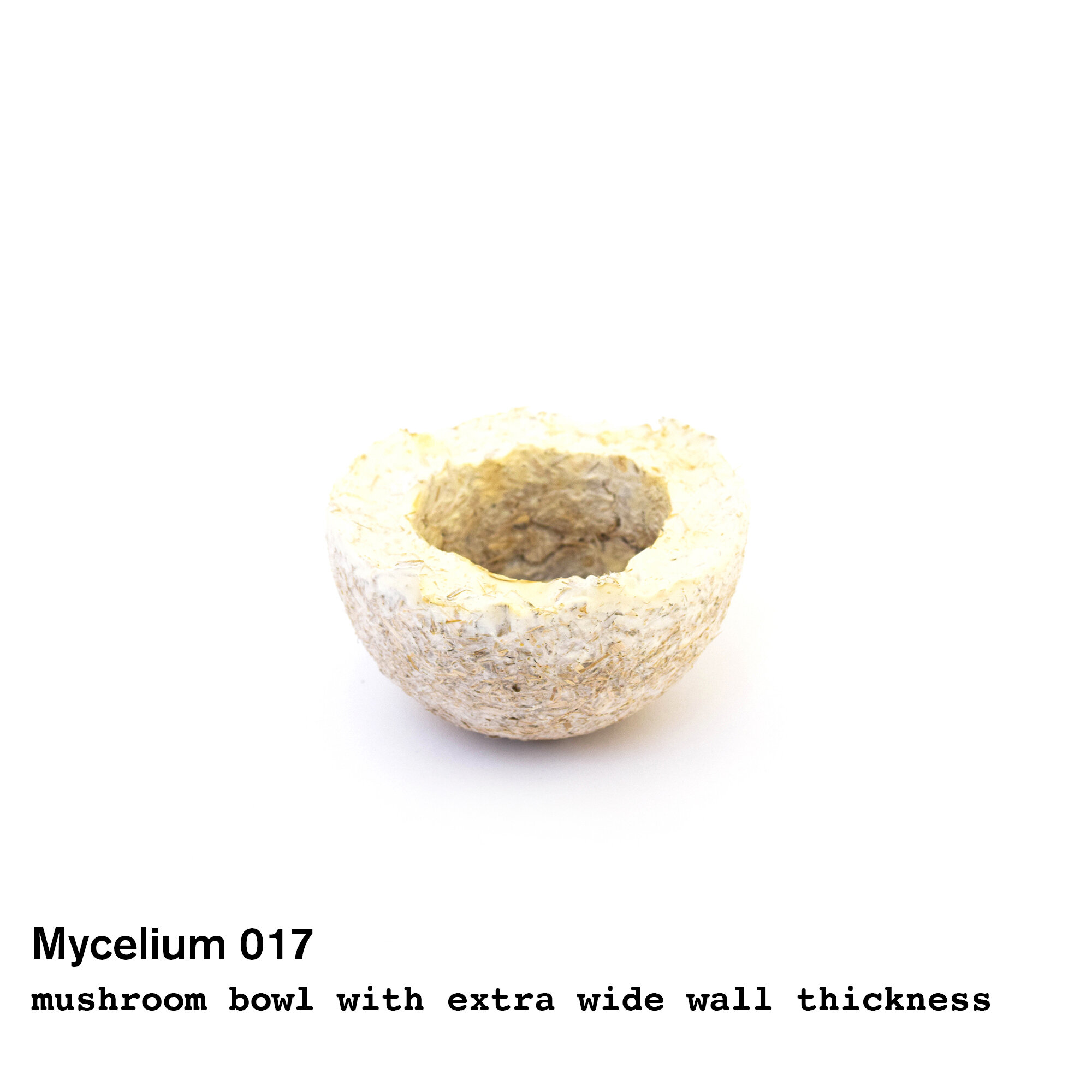 mushroom17.jpg