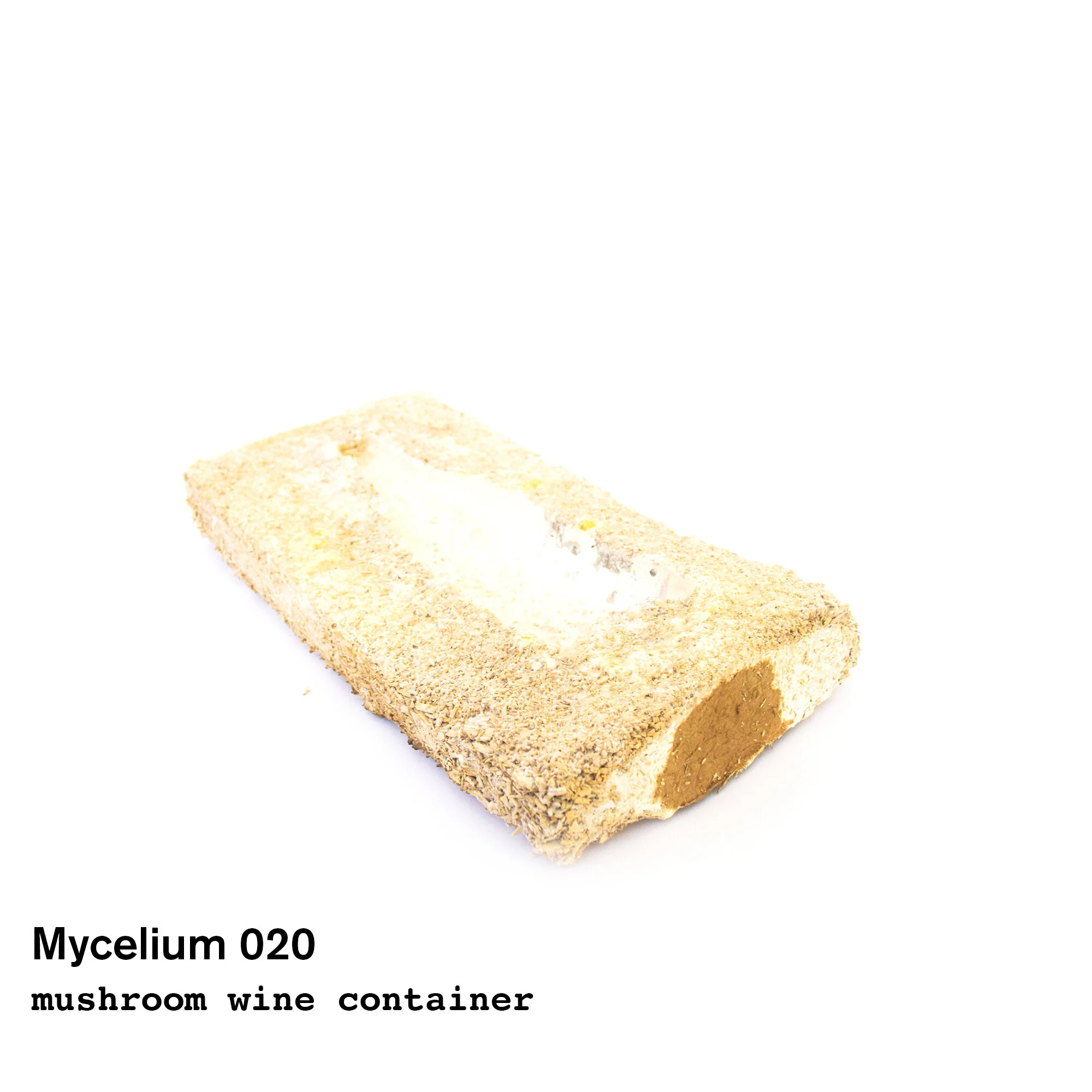 mushroom20.jpg