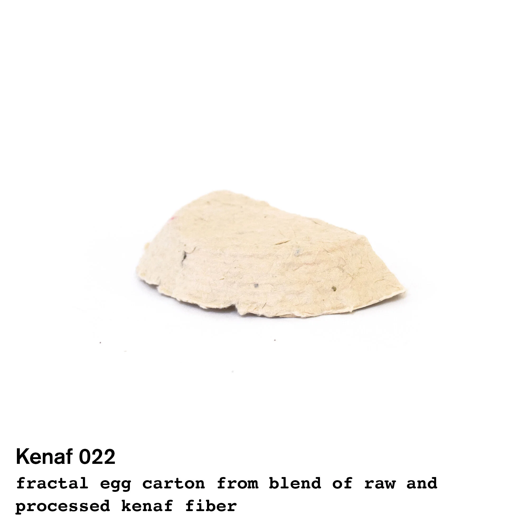 kenaf22.jpg