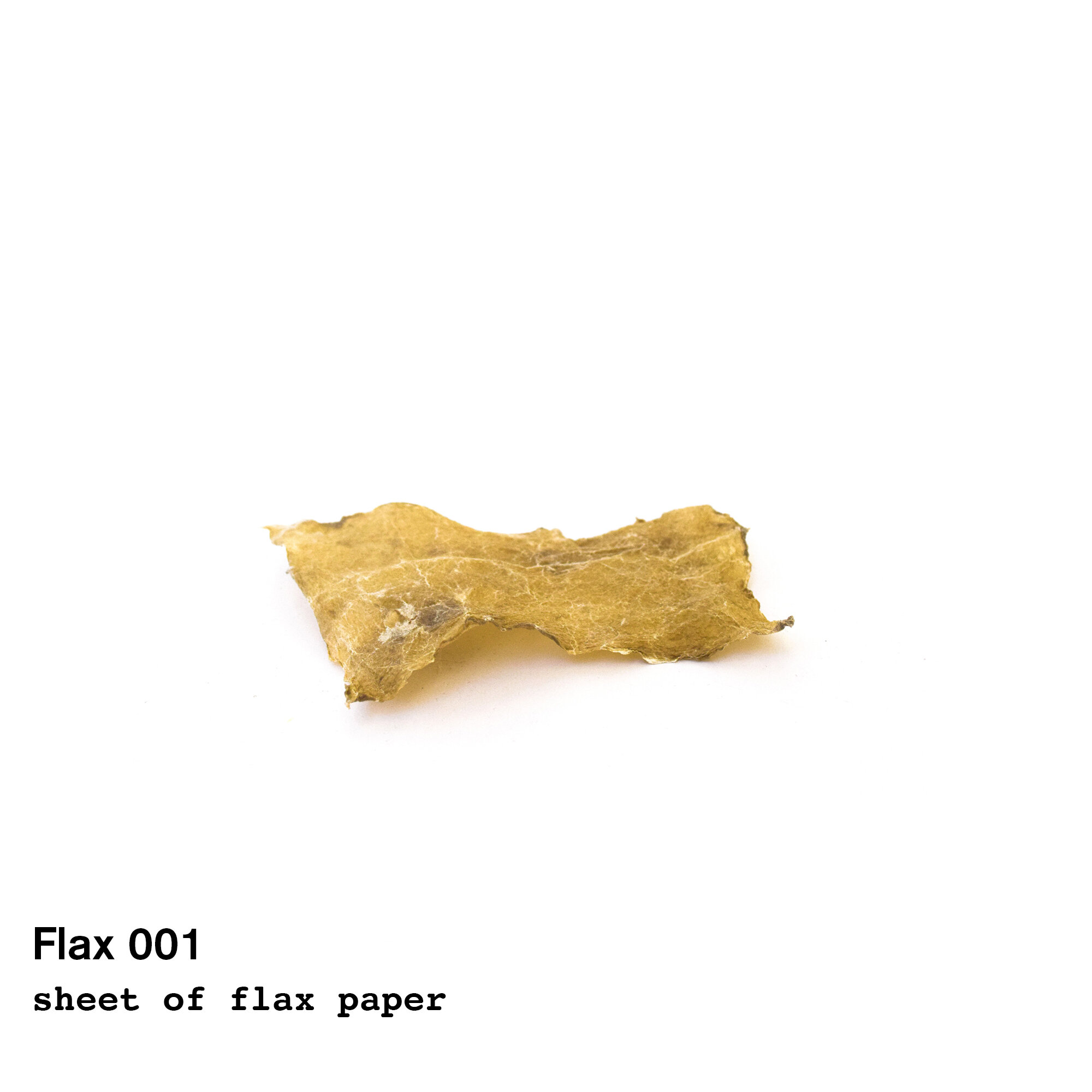 flax1.jpg