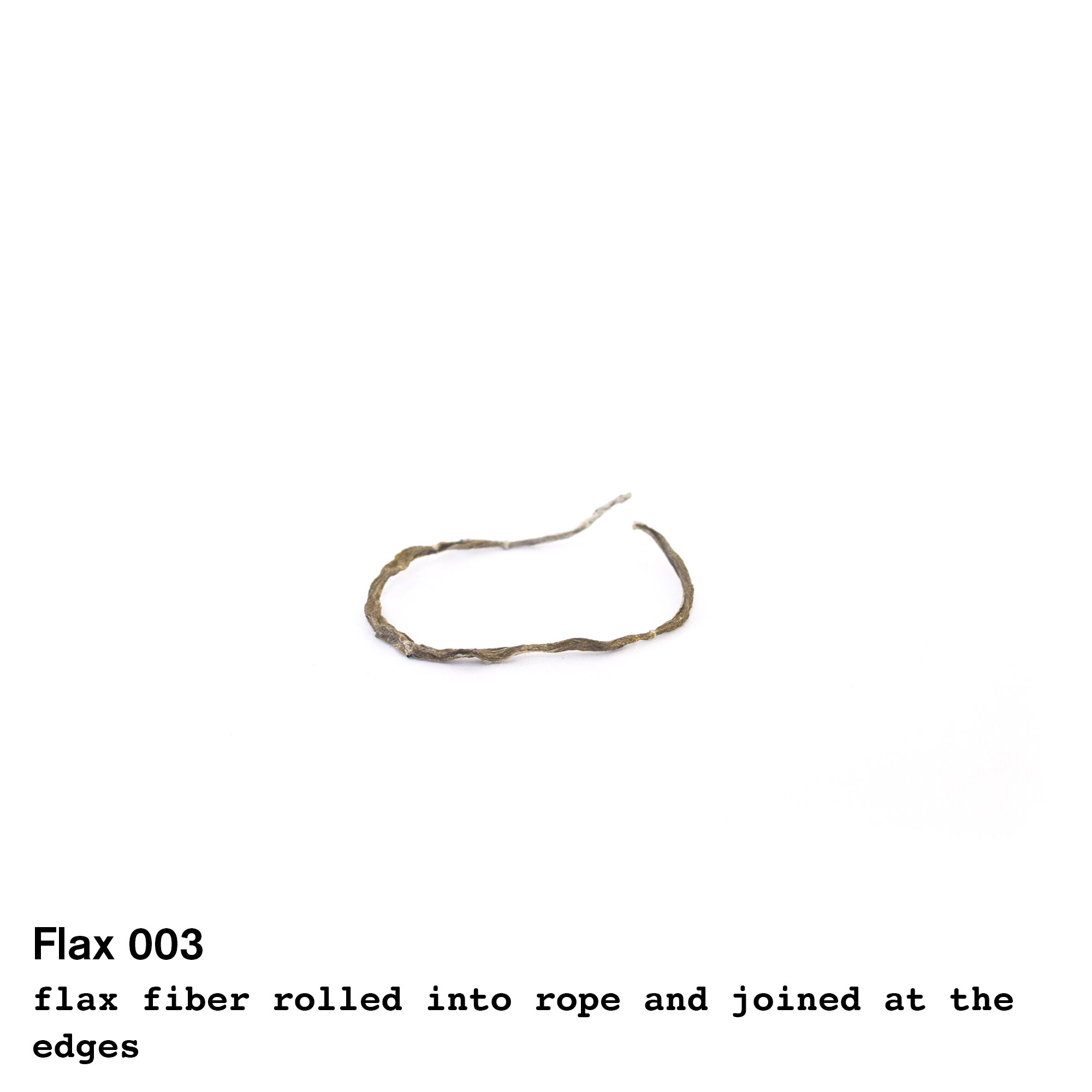 flax3.jpg