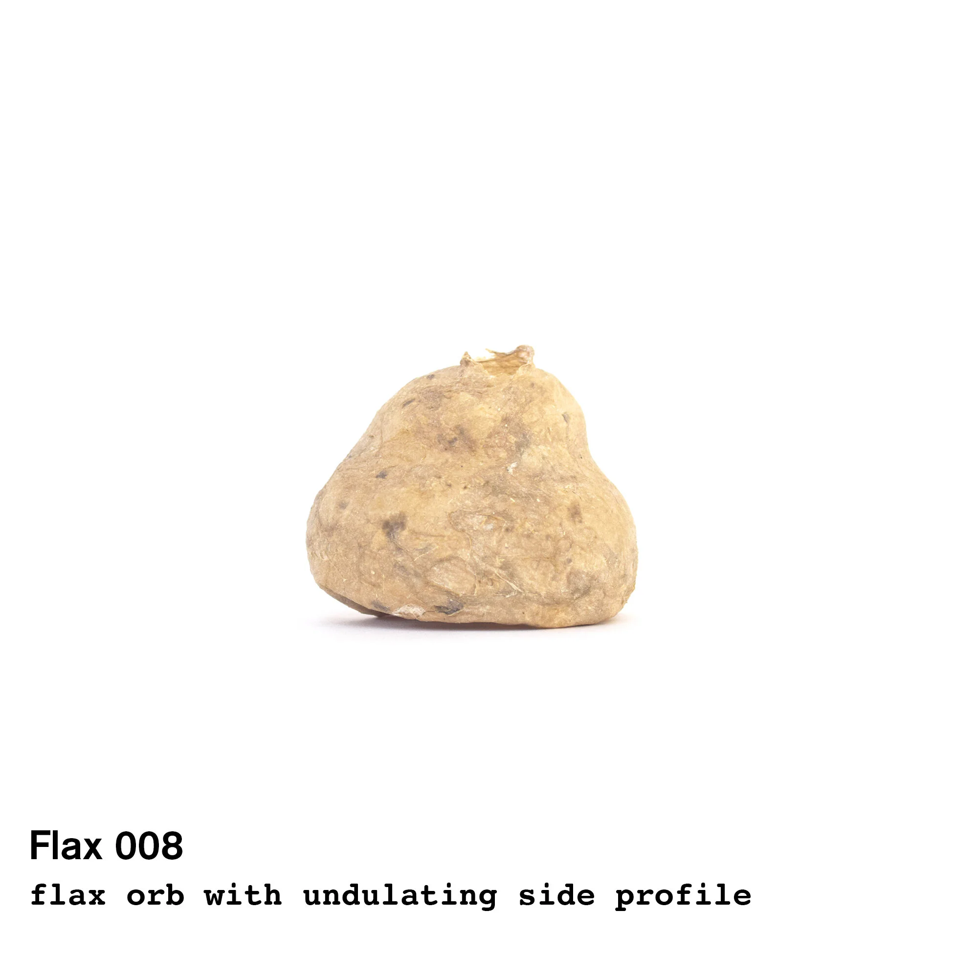 flax8.jpg