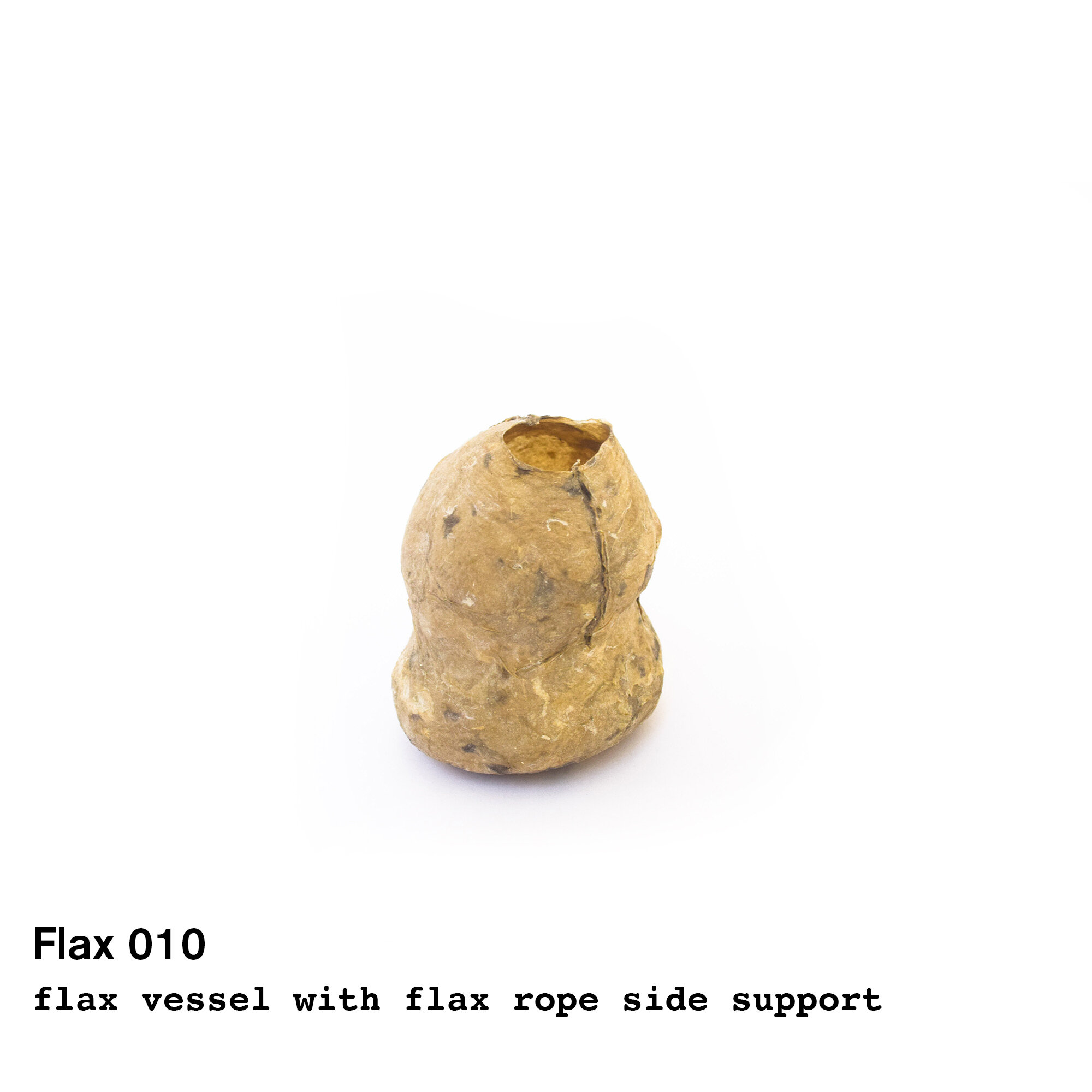 flax10.jpg