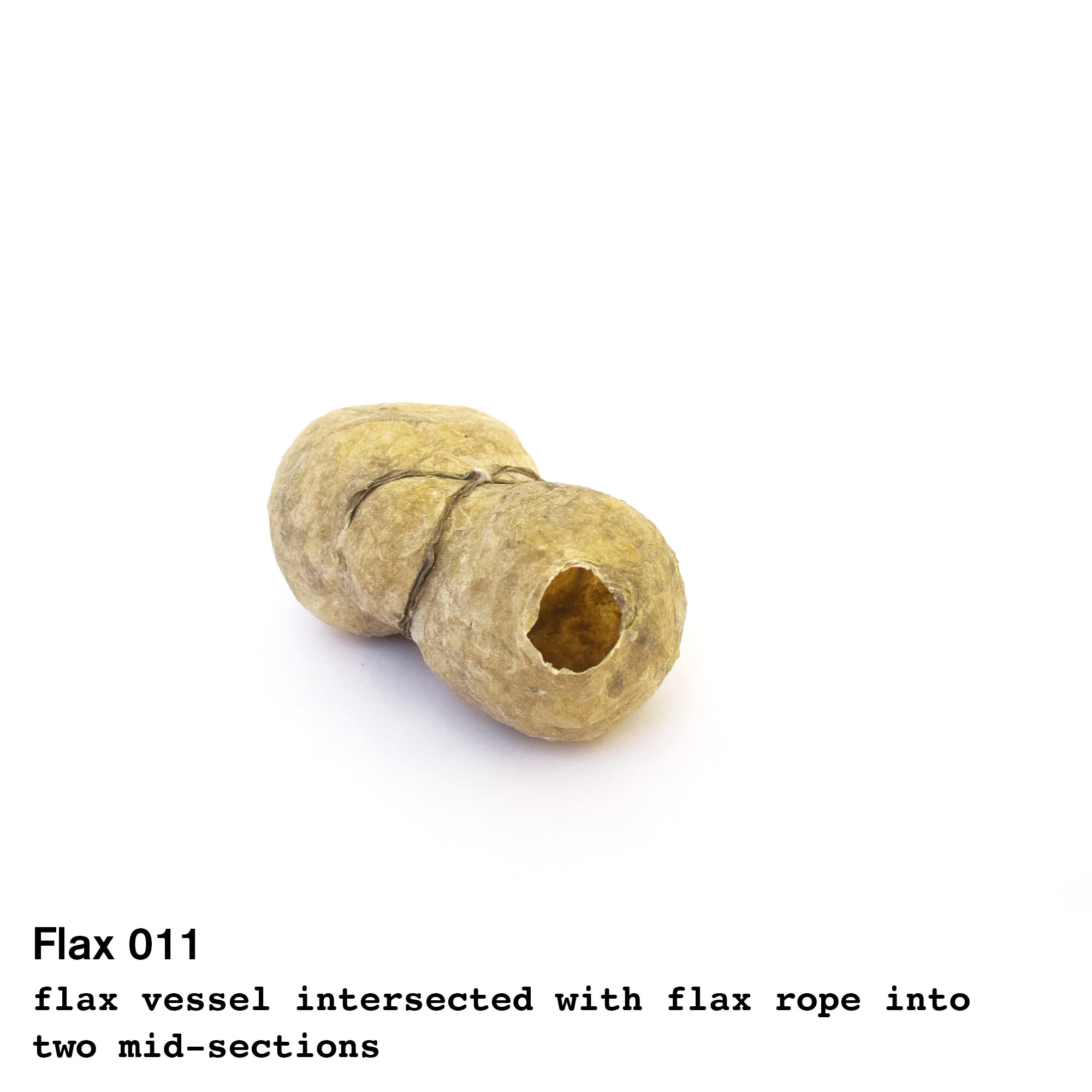 flax11.jpg