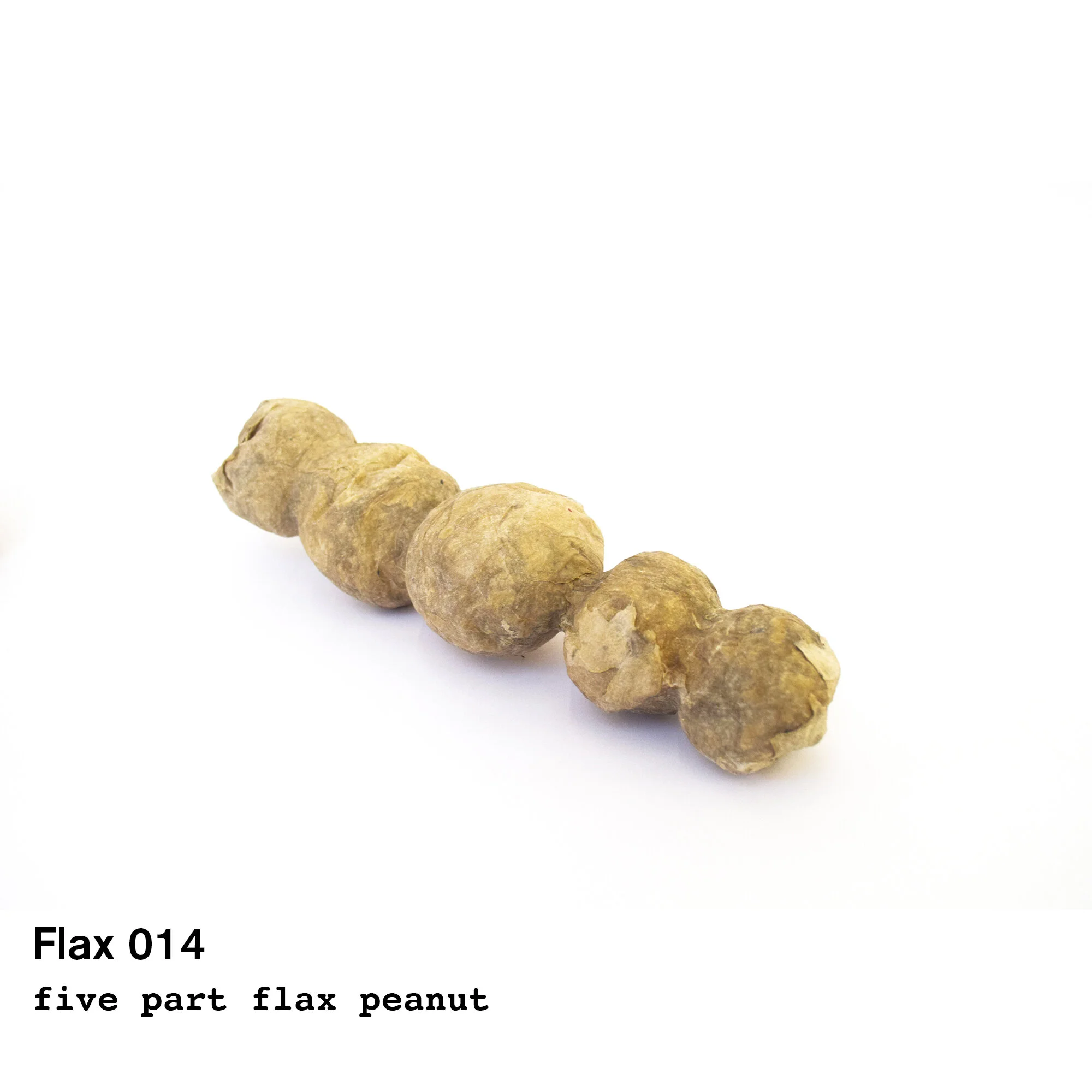 flax14.jpg