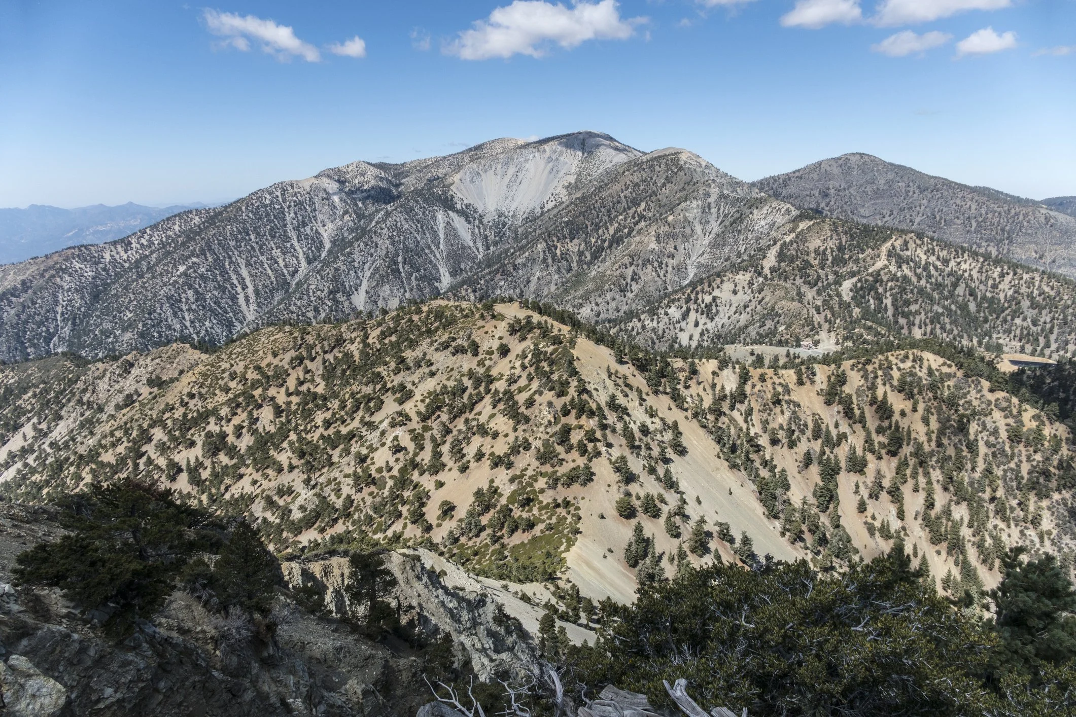 MtBaldy.1 (1).jpg