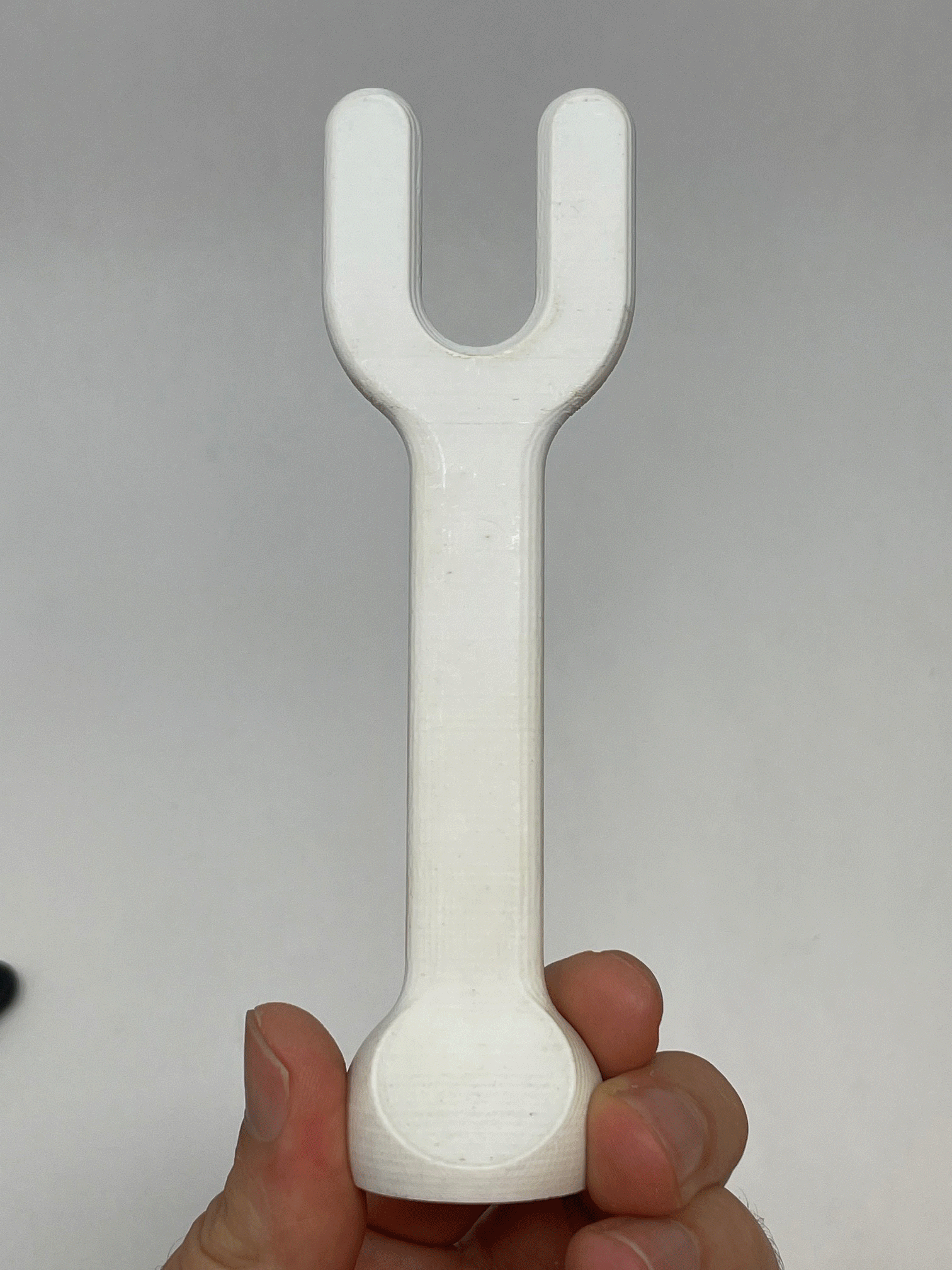 PHOTO-MOUNT-PROTOS-GIF.gif