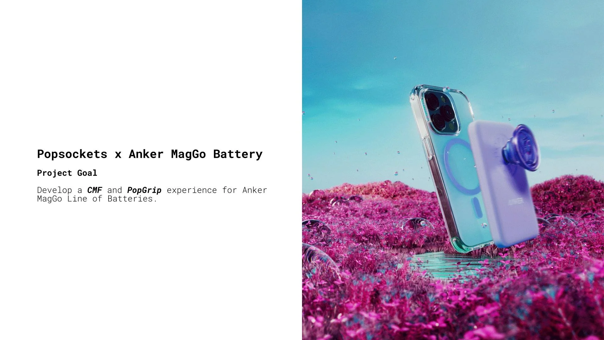 SQUARESPACE PORTFOLIO.jpg