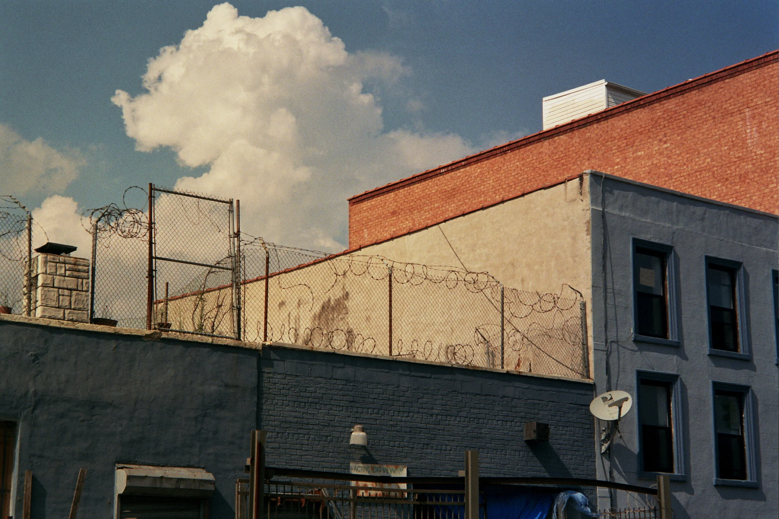 __1_0467.jpg