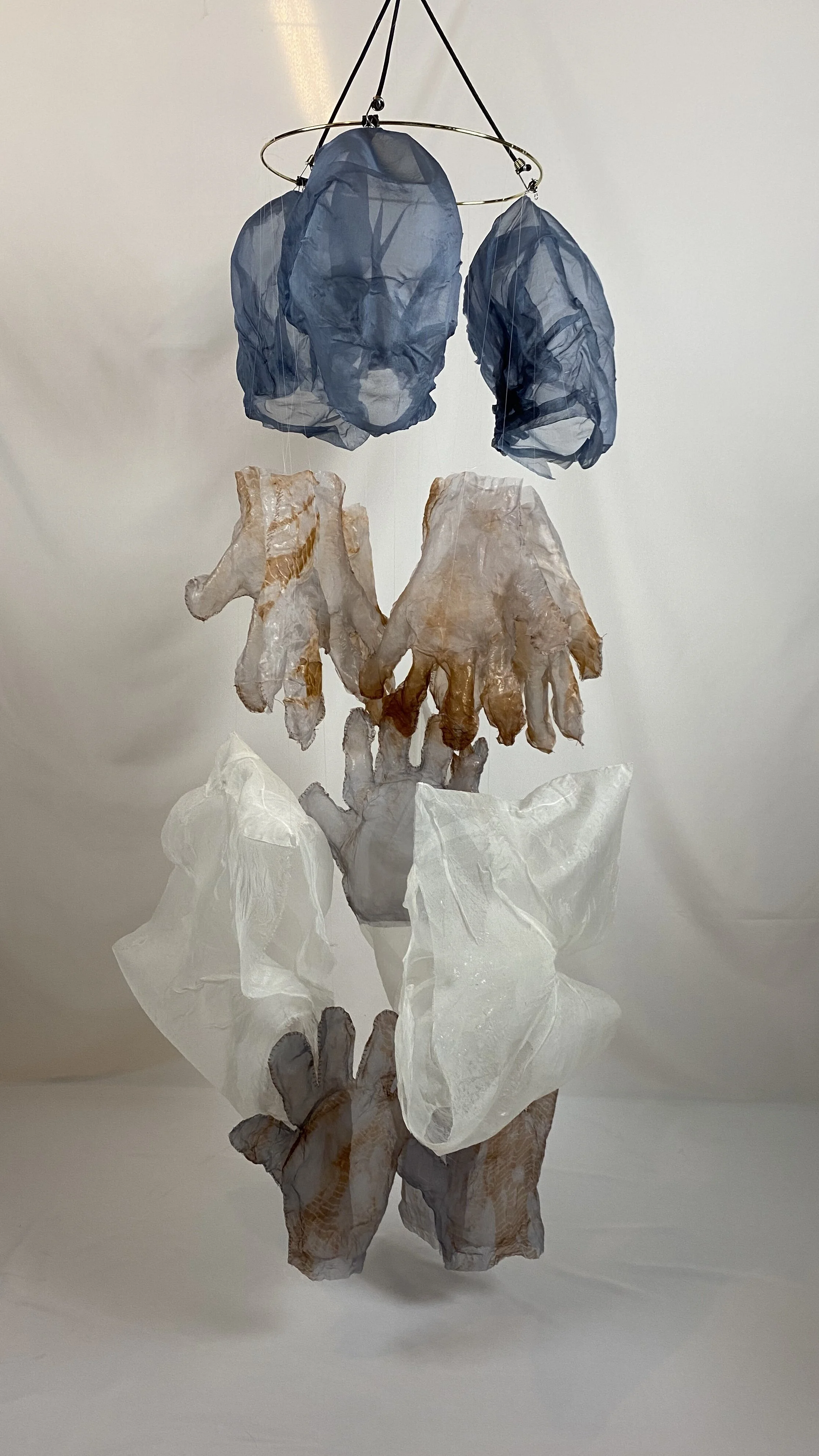 Heads Vuvlas Knees and Toes by Deborah Hirshfield