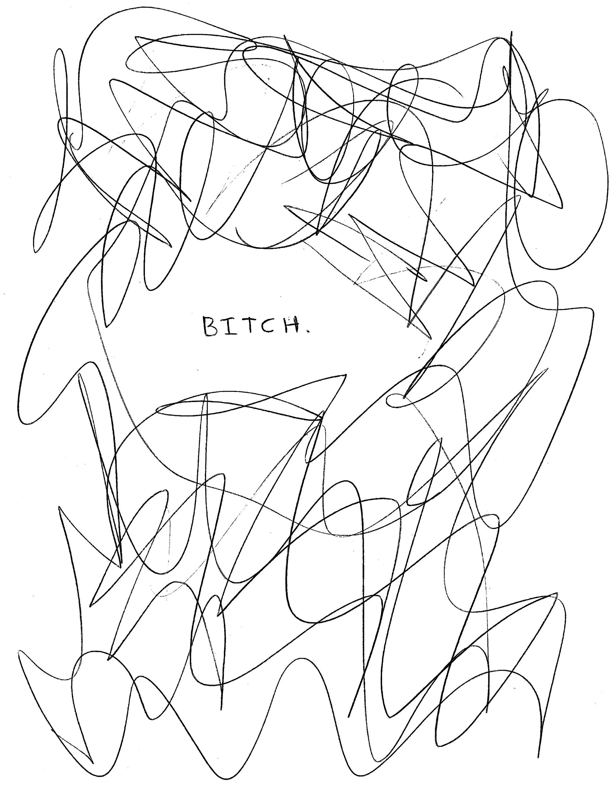 Bitch by Darya Foroohar