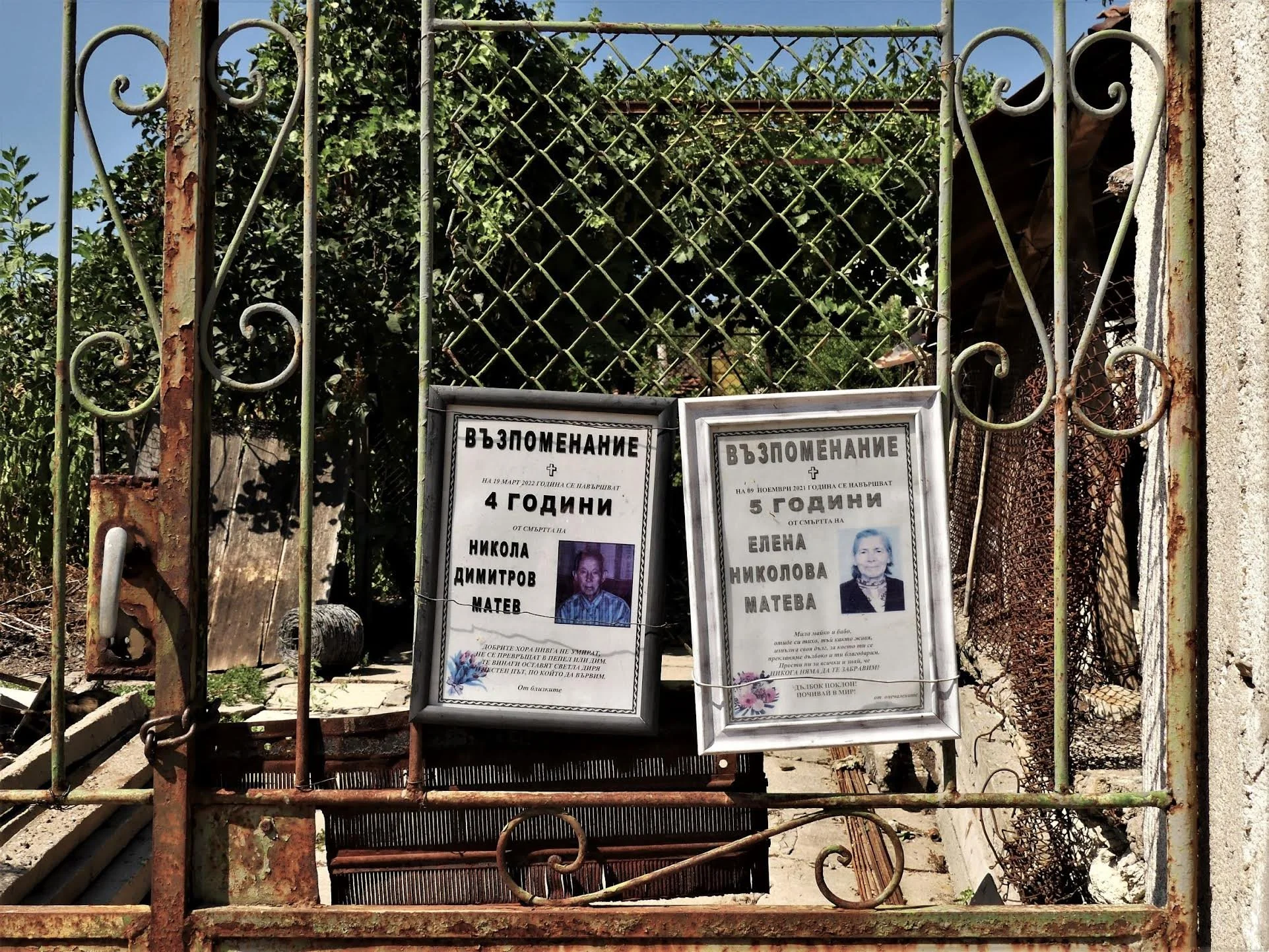 Searching for My Roots by Lia Mageira