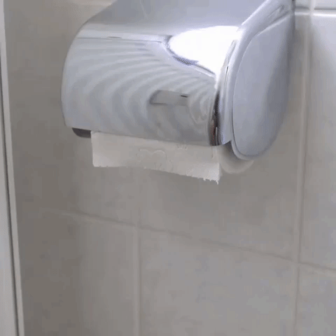 toilet.gif