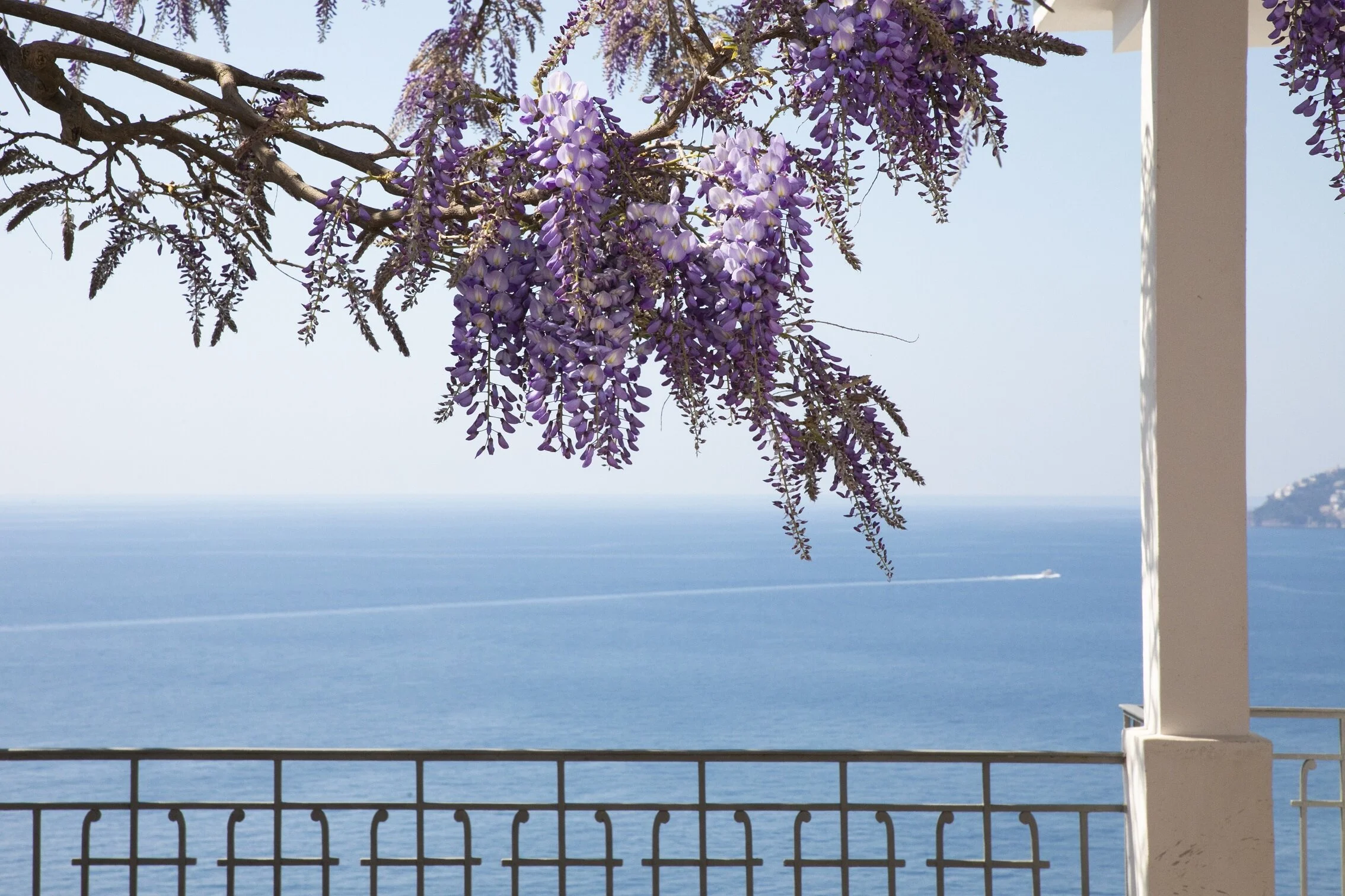 5 Terrazza (5).jpg