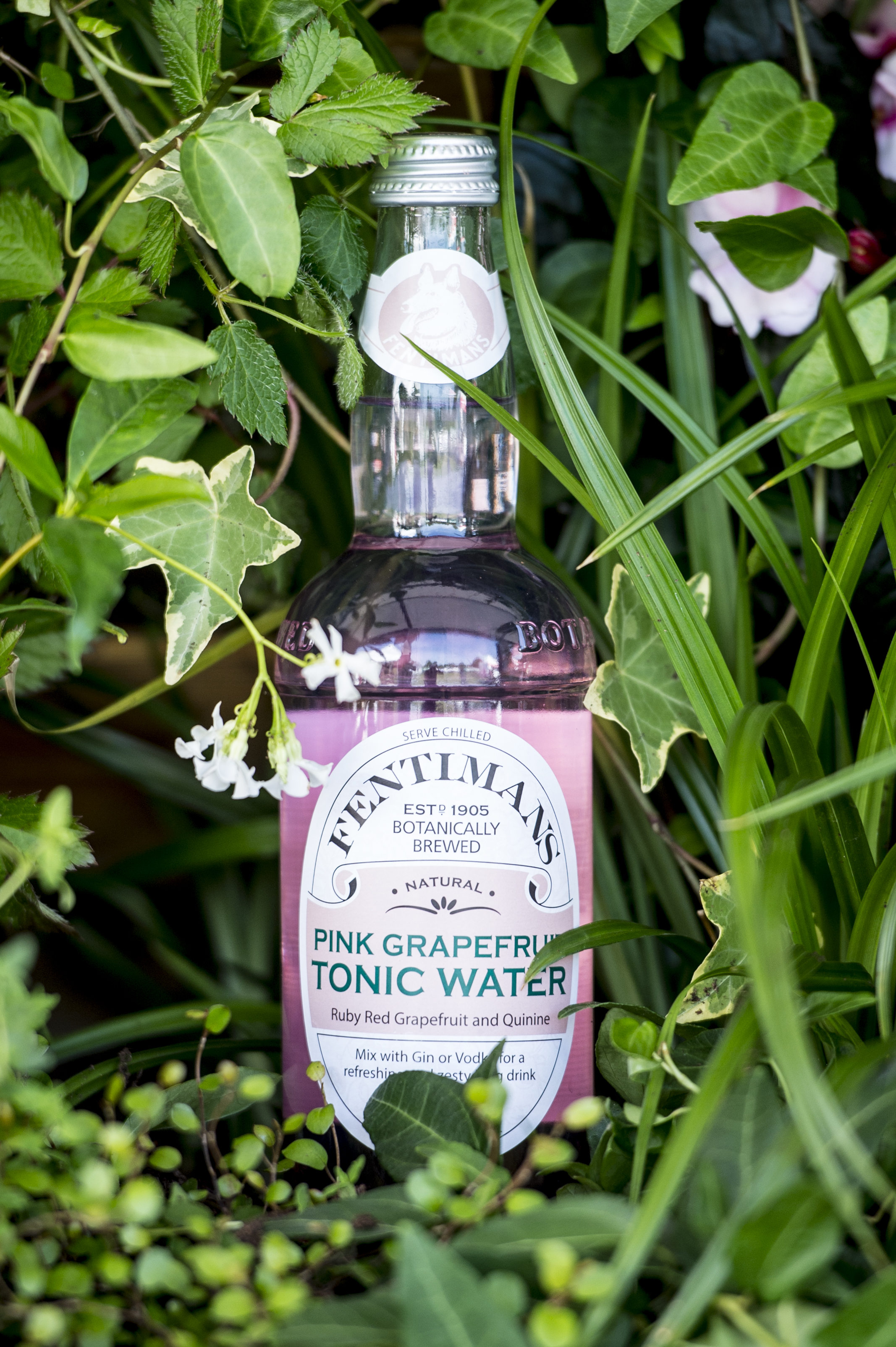 Quirky Group Builds Living Walls for Fentimans at Taste of London