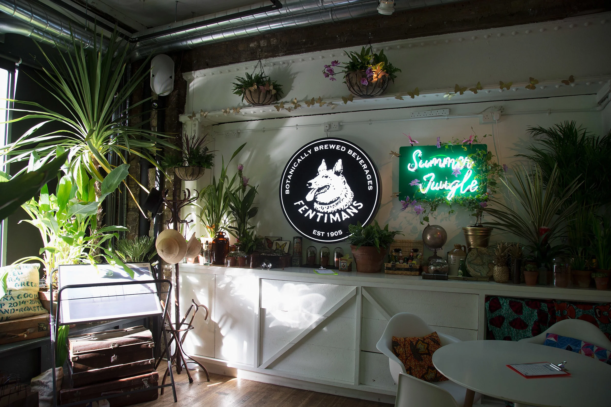 Creating a Pop-Up Summer Jungle