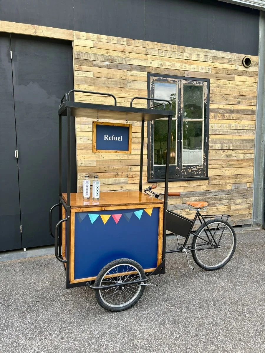 Tricycle with Canopy_3.JPG