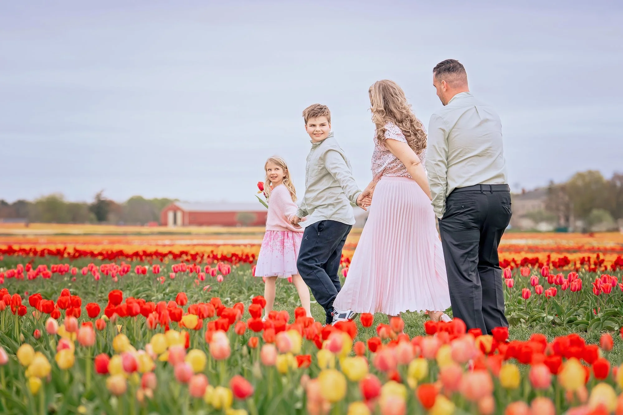 Family of four walking hand in hand through a tulip field during a spring mini session with Fotoplicity in New Jersey