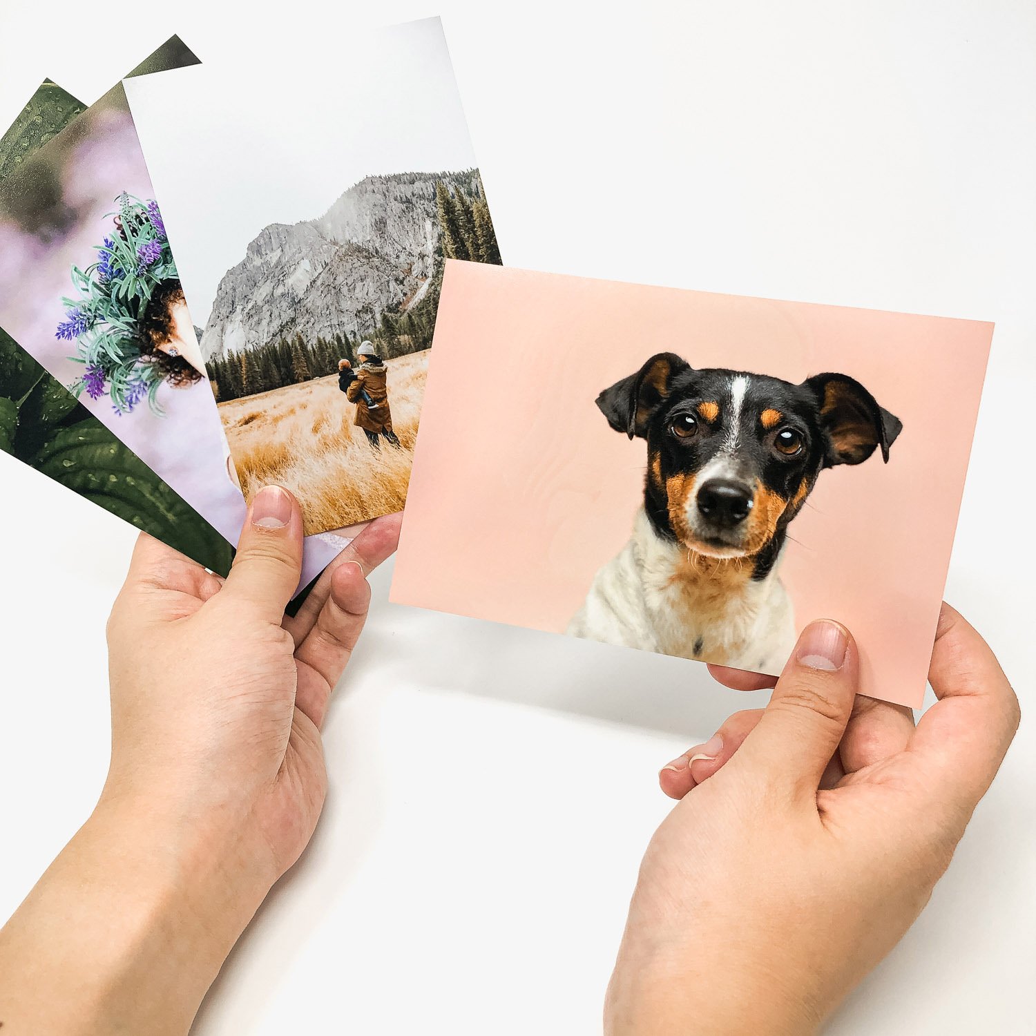PRINTS