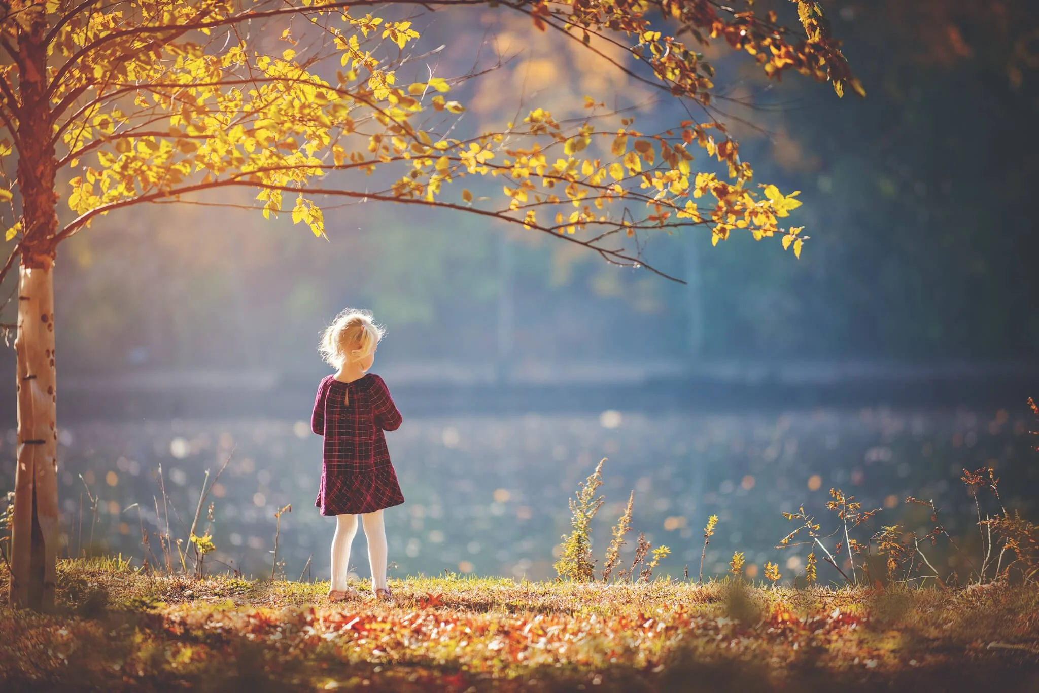A young girl standing under a hanging branch with golden fall leaves looking out to the Raritan River.