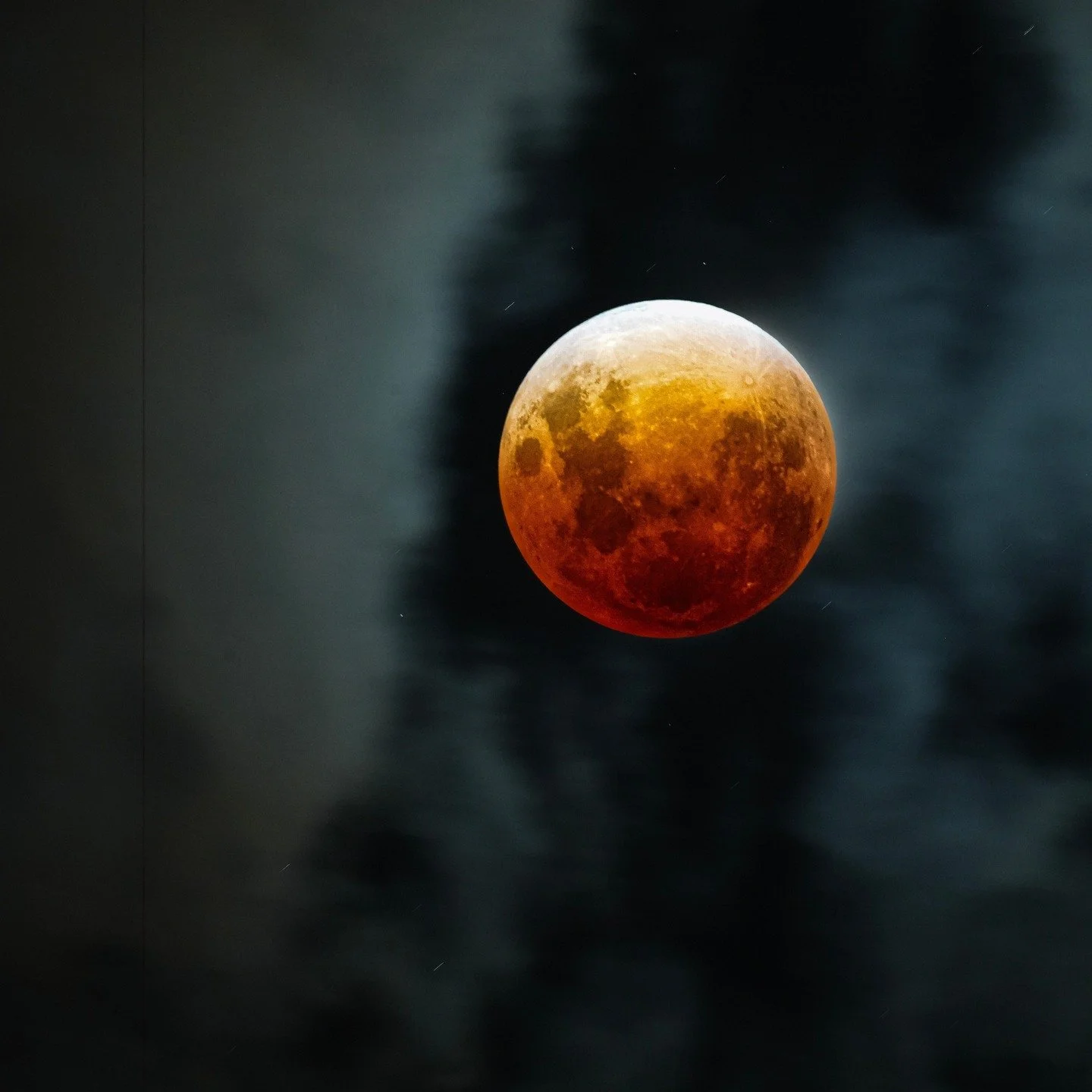 It was cloudy most of the evening, but right on cue the moon stepped out for its performance. Nature never misses a moment &mdash; it&rsquo;s simply incredible.

The colour even mirrored our tangerine wheat straw plates &mdash; the perfect setting to