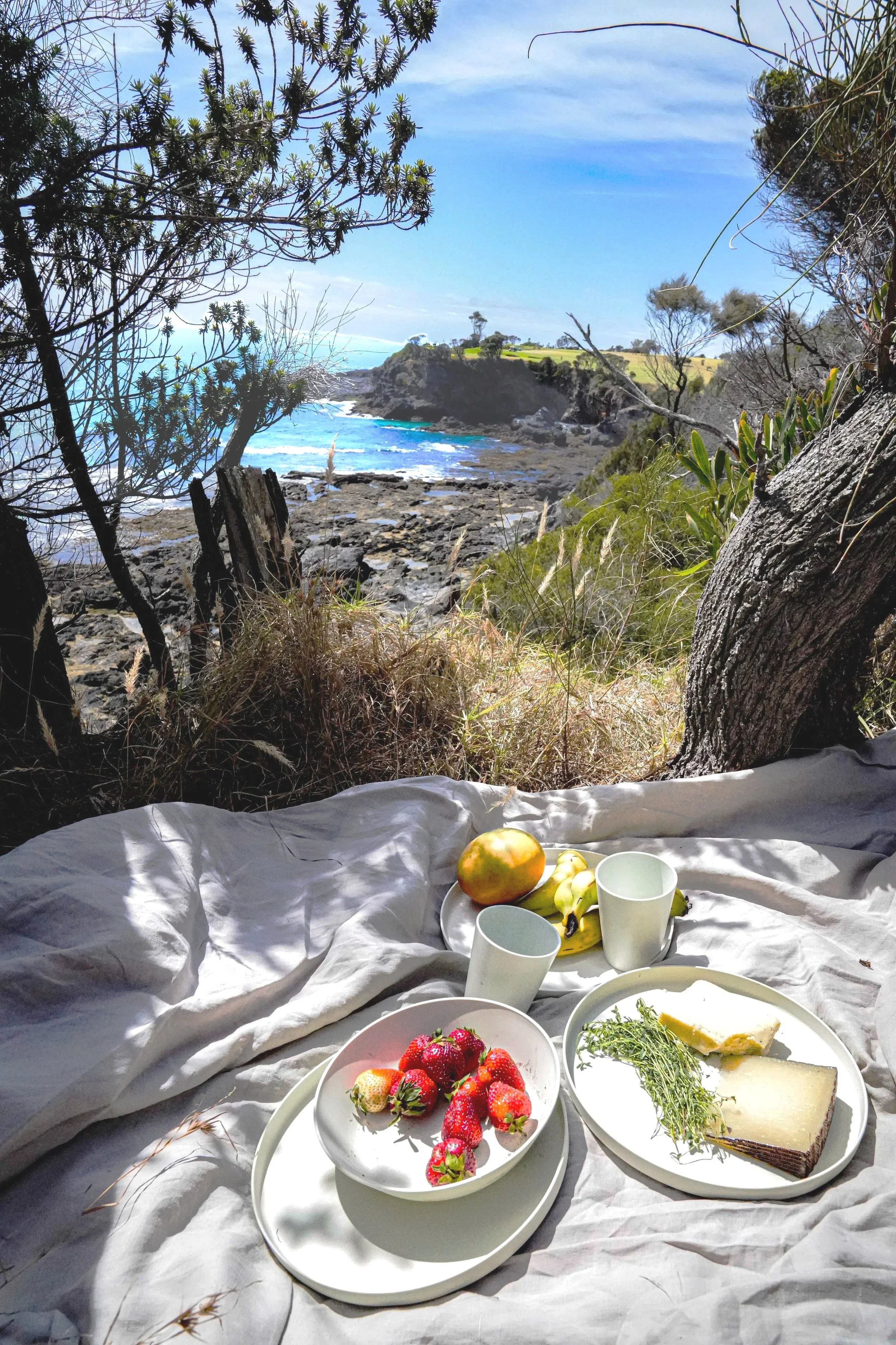 elavoland-bamboo-fibre-tablewear-picnic.jpg (Copy)