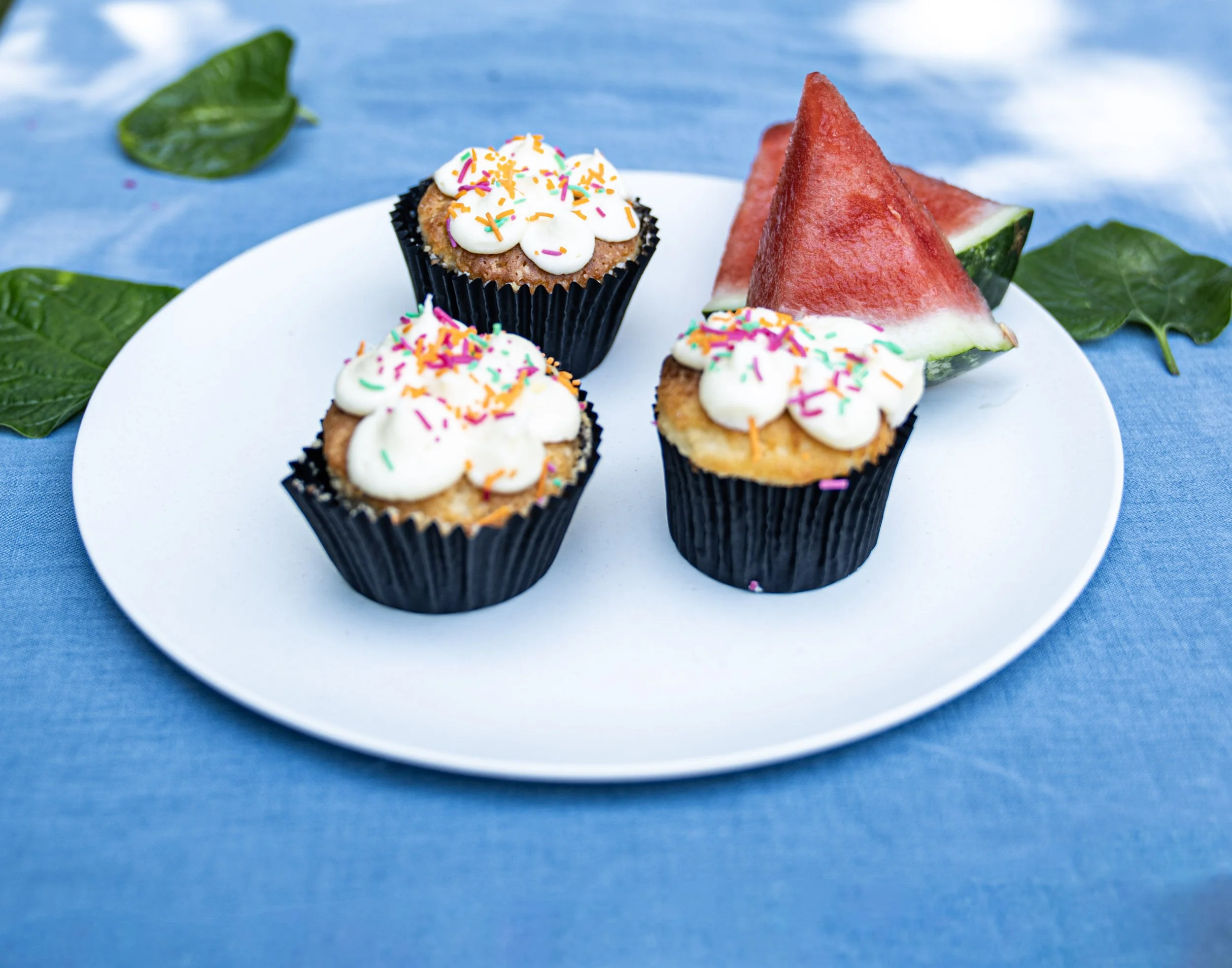 Little Adventurers PLA & Bamboo Fibre Plate