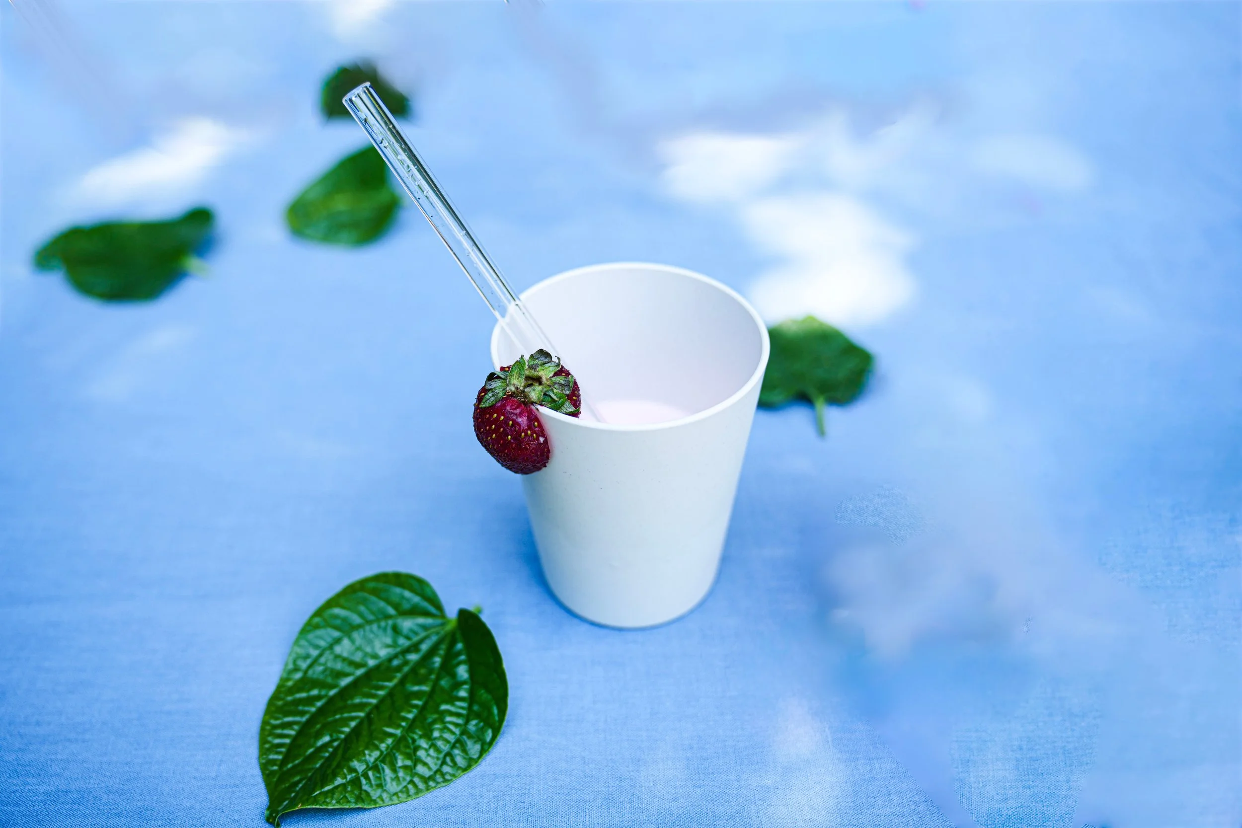 Little Adventurers PLA & Bamboo Fibre Cup