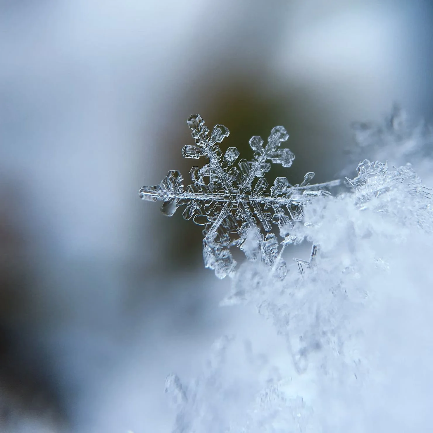 Winter Worries
