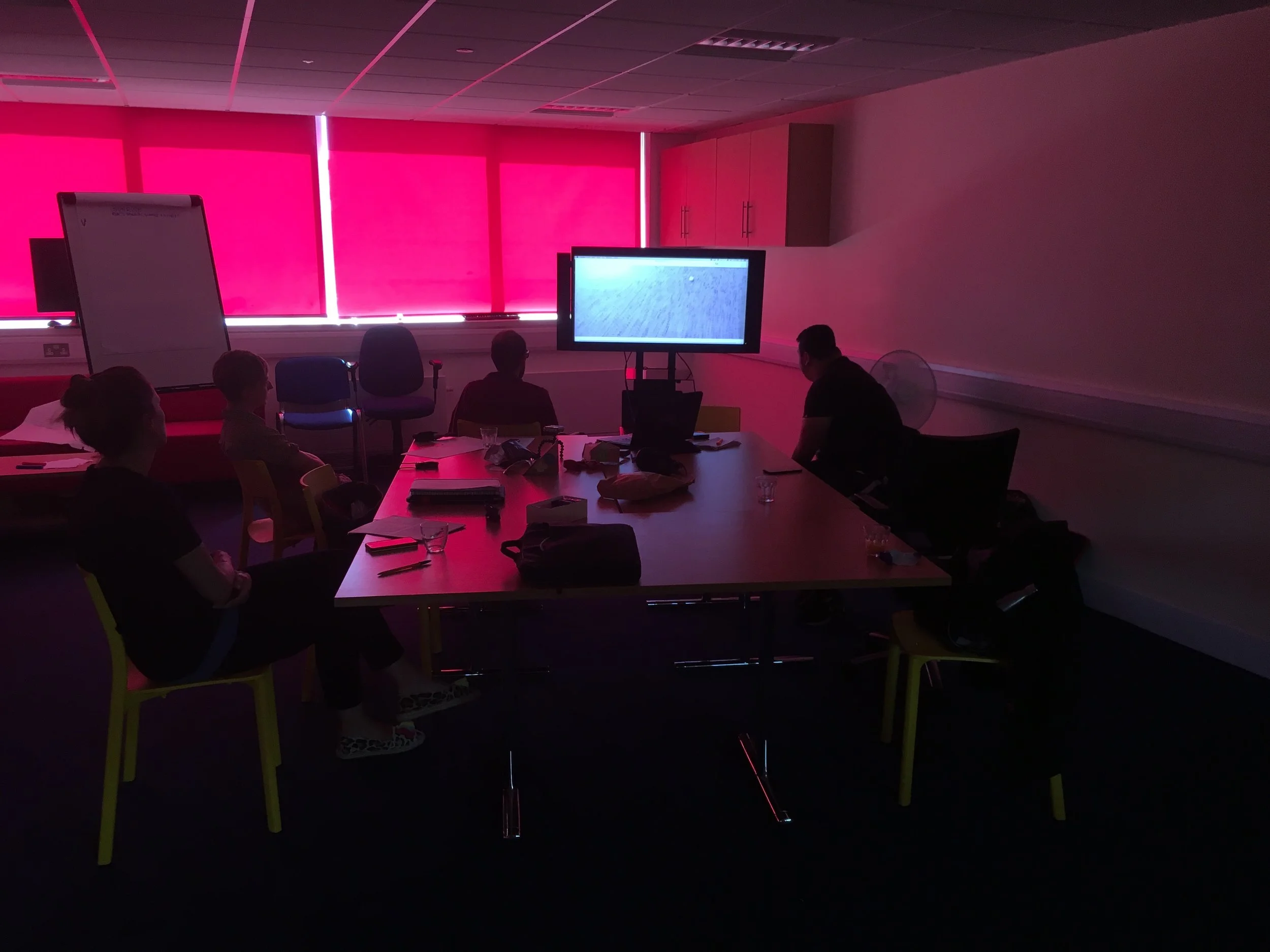 vi-mobilities-research project-workshop RSBC.JPG