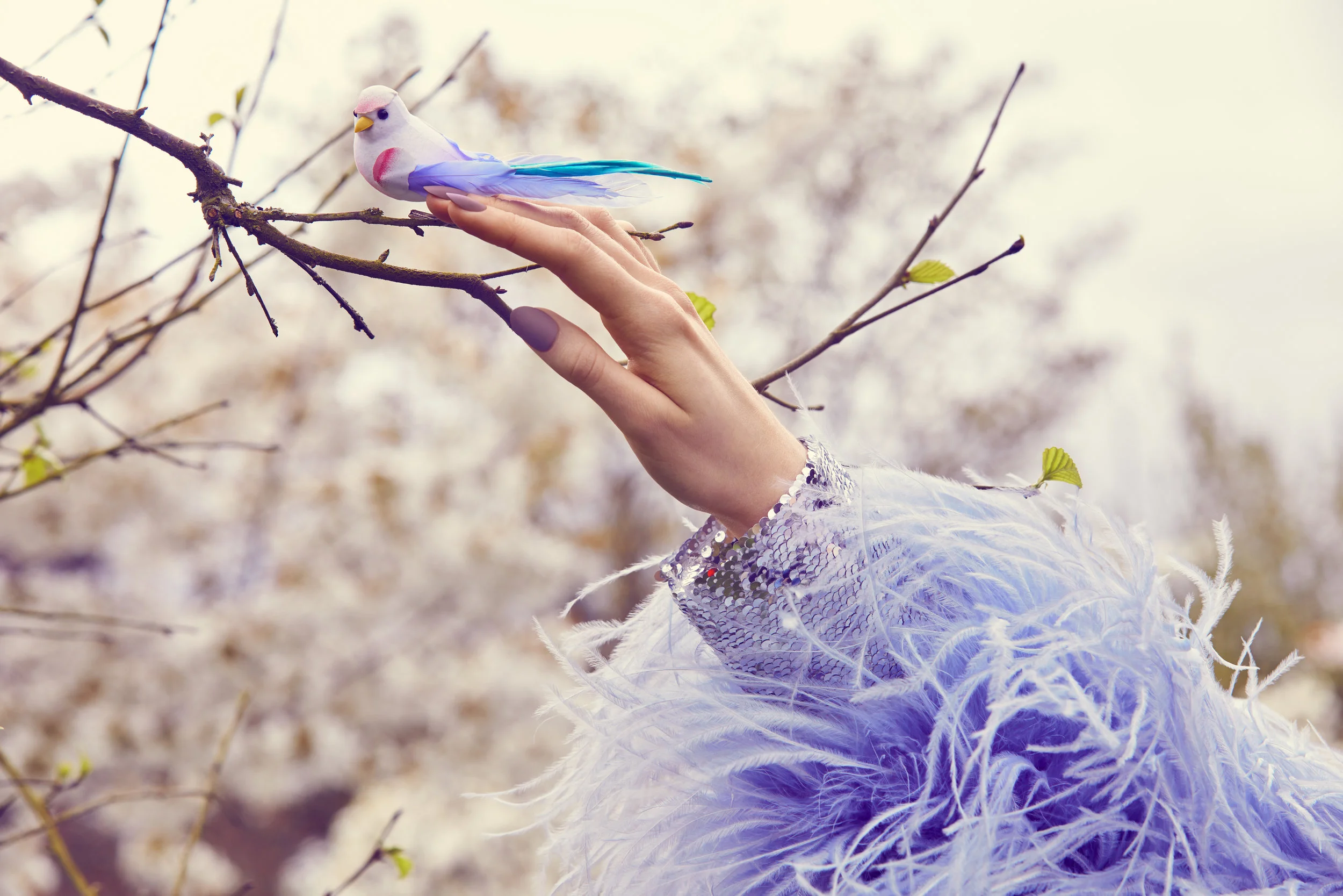 116* Blossom 0516r.jpg