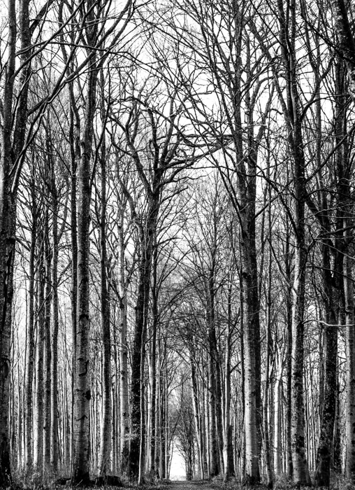 Skjermbilde 2018-03-06 kl. 15.37.09.png