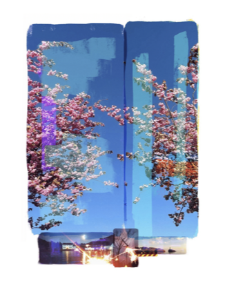Skjermbilde 2021-07-16 kl. 08.37.20.png