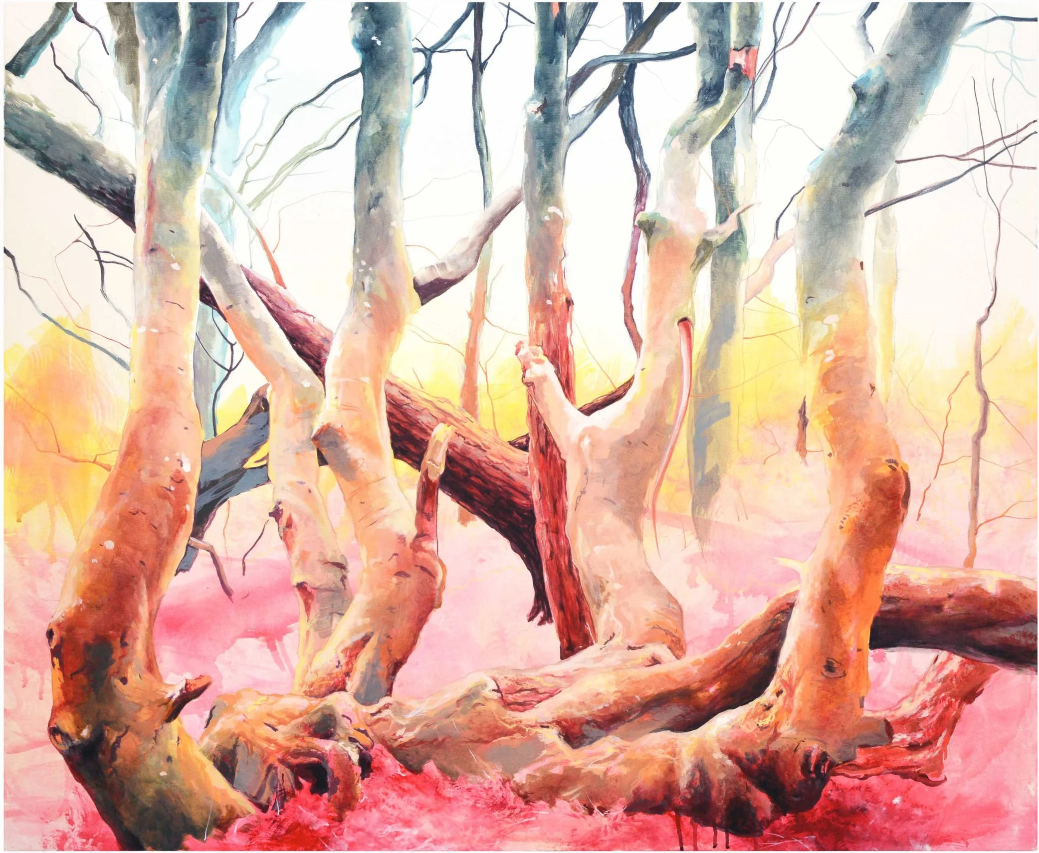 Odgers trees-Angelshaug.jpg