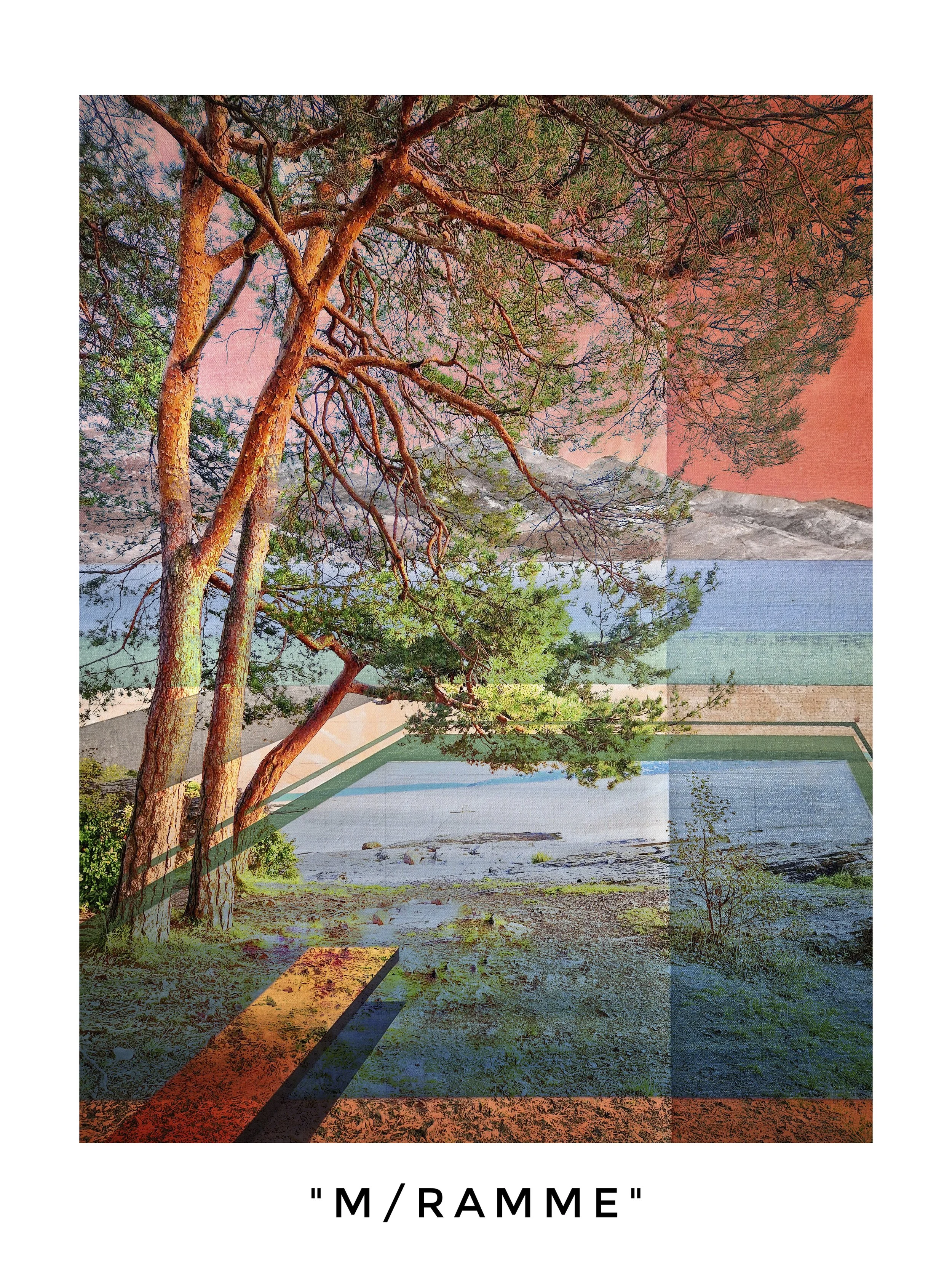 Half Light 50 × 67  DGA Innrammet .jpg