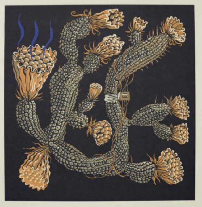 Skjermbilde 2026-03-12 kl. 14.37.43.png