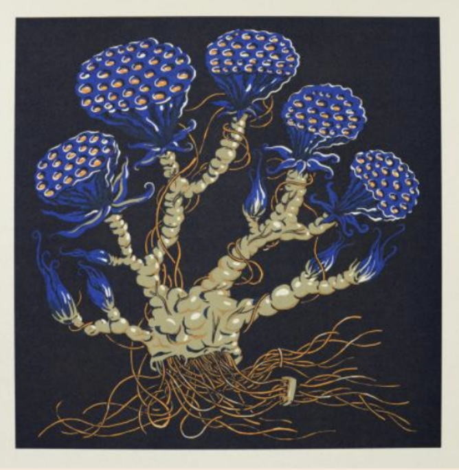 Skjermbilde 2026-03-12 kl. 14.37.58.png