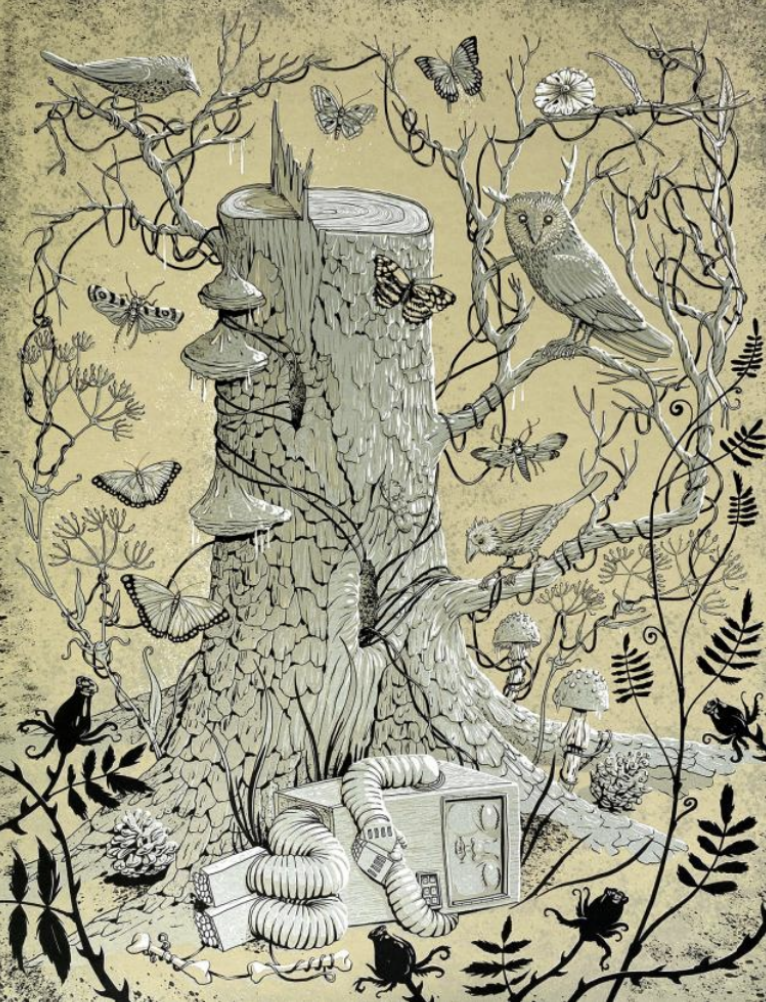 Skjermbilde 2026-03-12 kl. 14.29.53.png