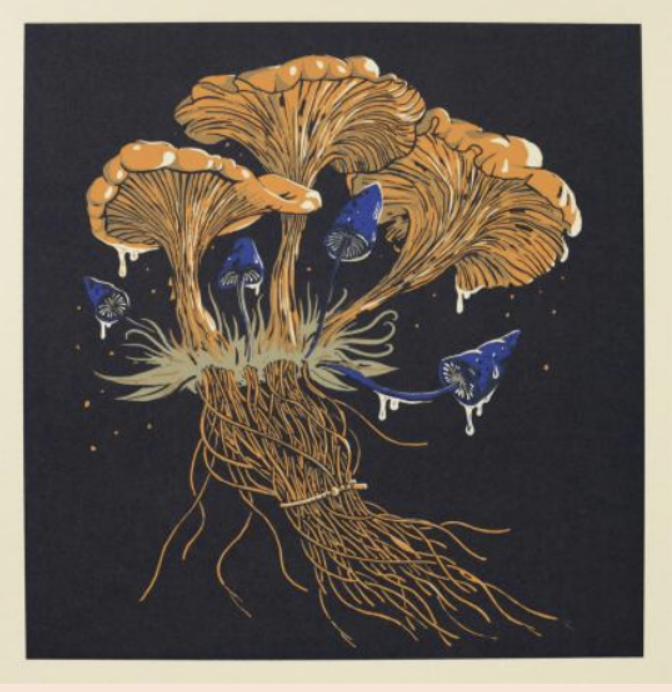 Skjermbilde 2026-03-12 kl. 14.38.07.png