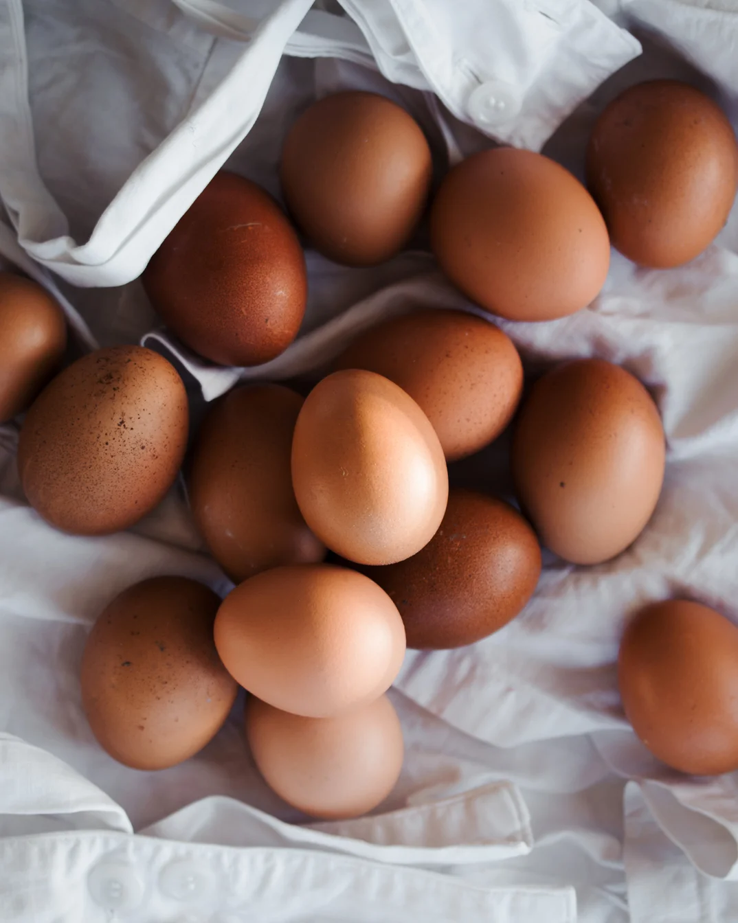 egg.jpg
