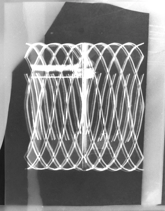 photogram detail.jpg