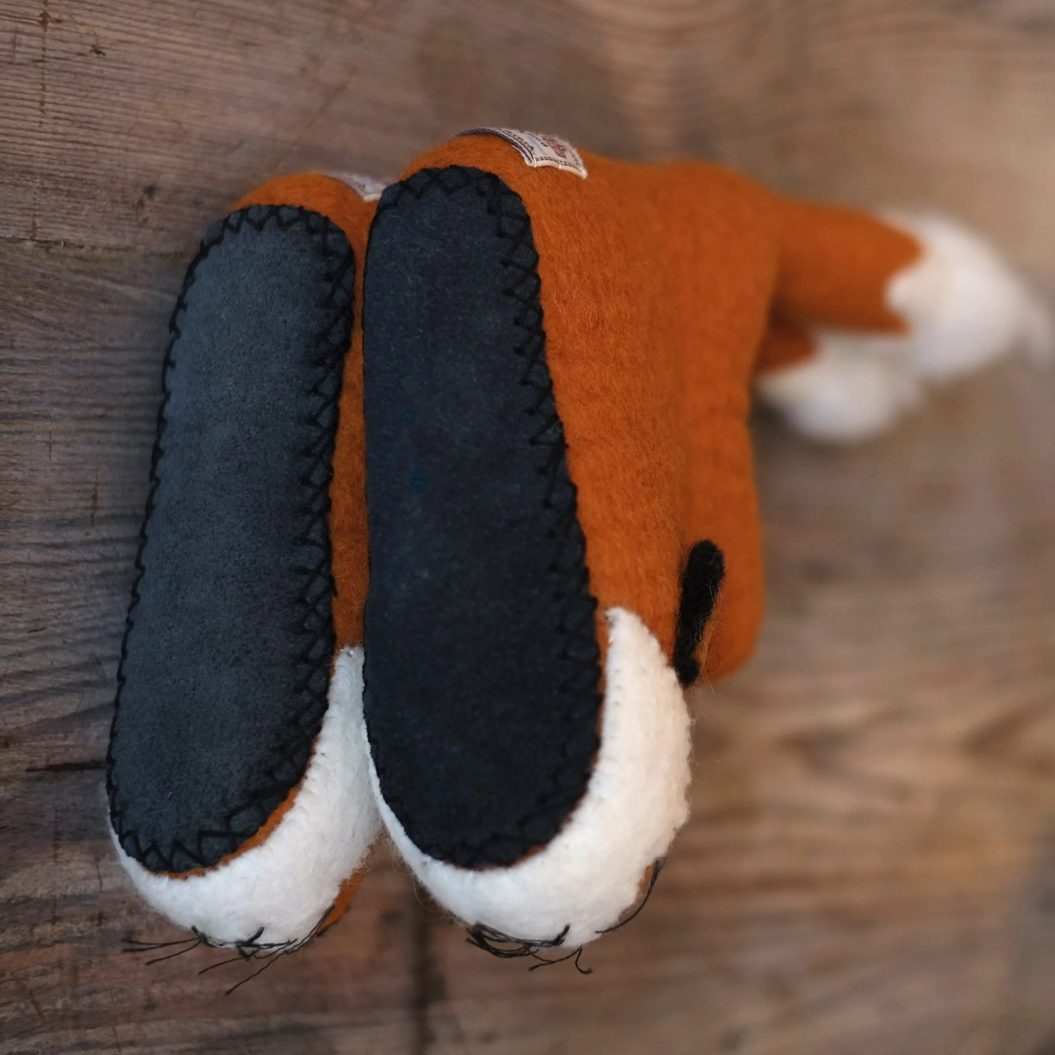 Finlay+Fox+b.jpg