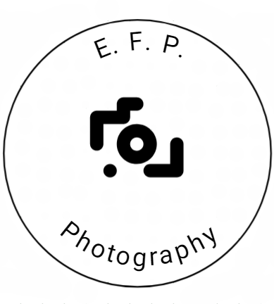 Expert Floor Plans & Photography